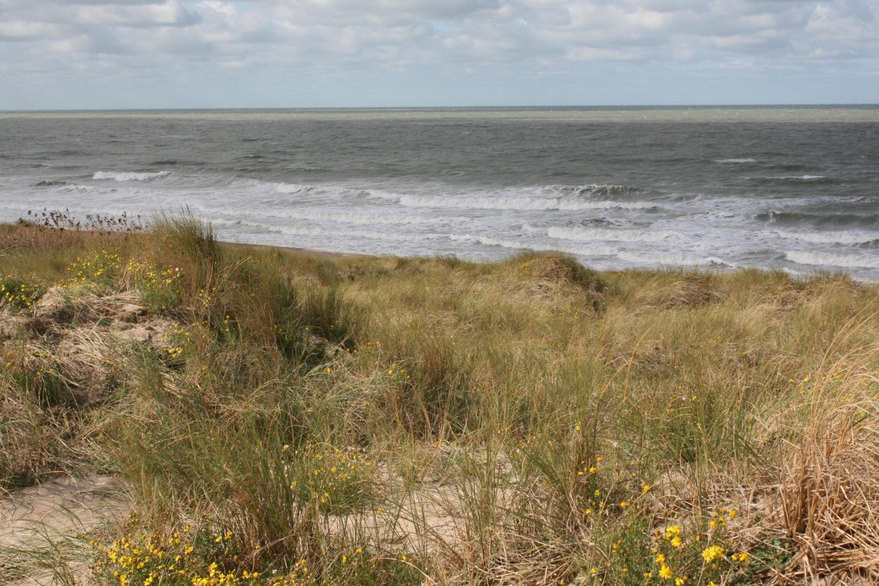 Vakantienestje