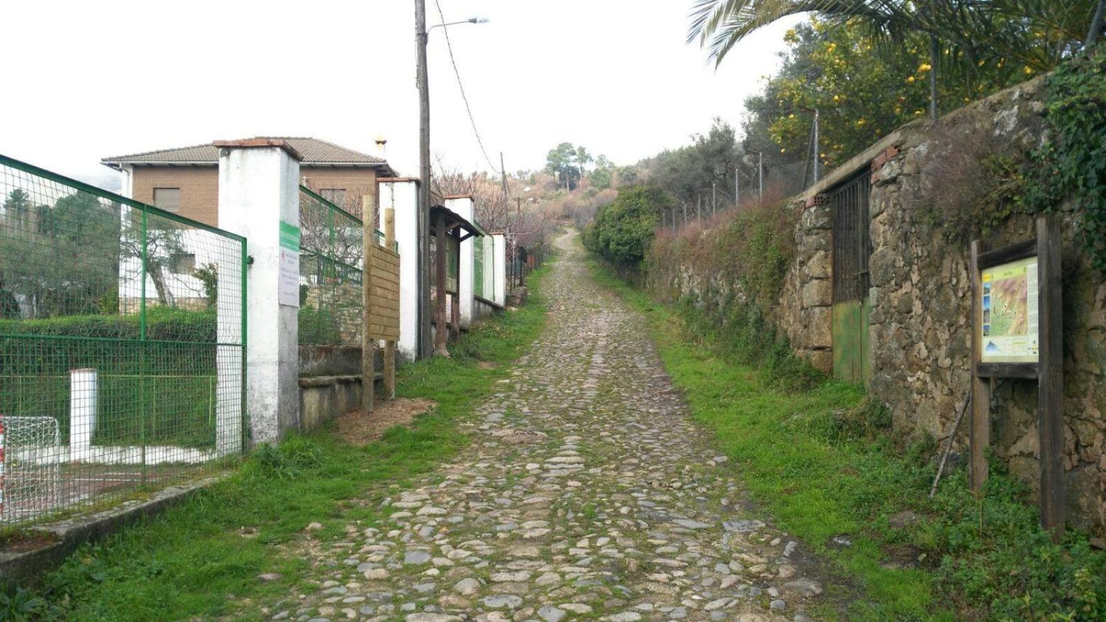 Photo 27