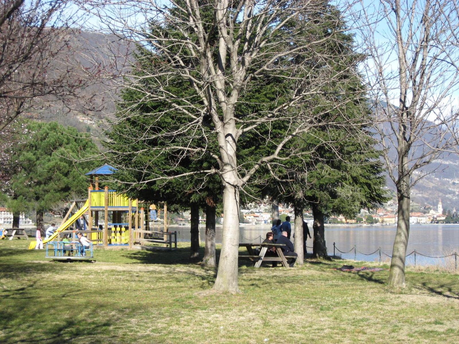 Photo 49
