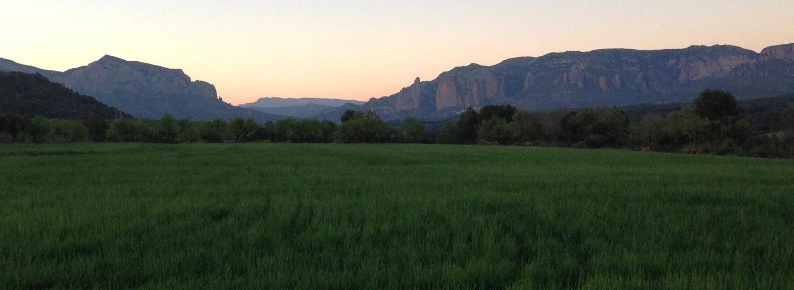 Alén D'Aragón