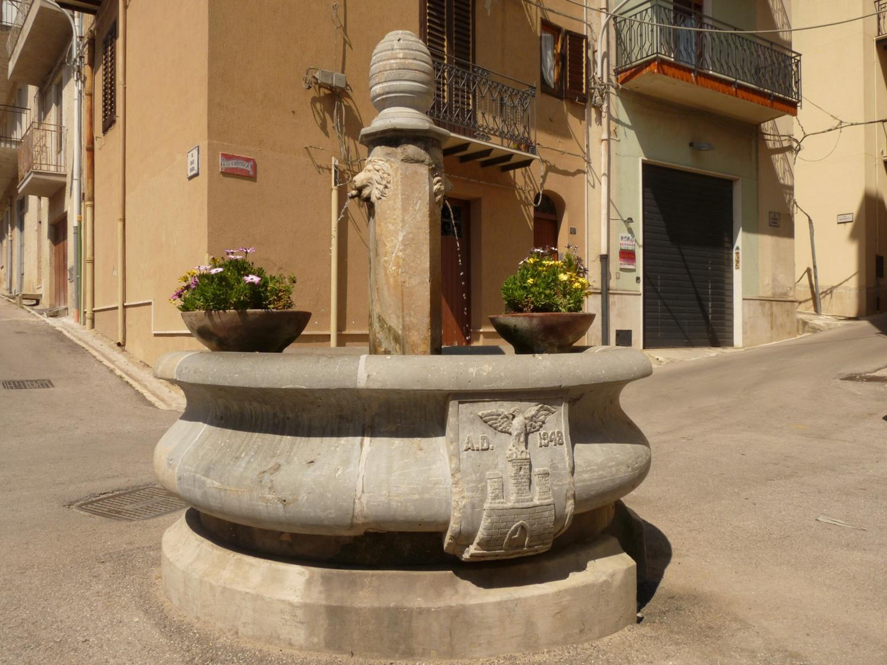 Ai Cannola