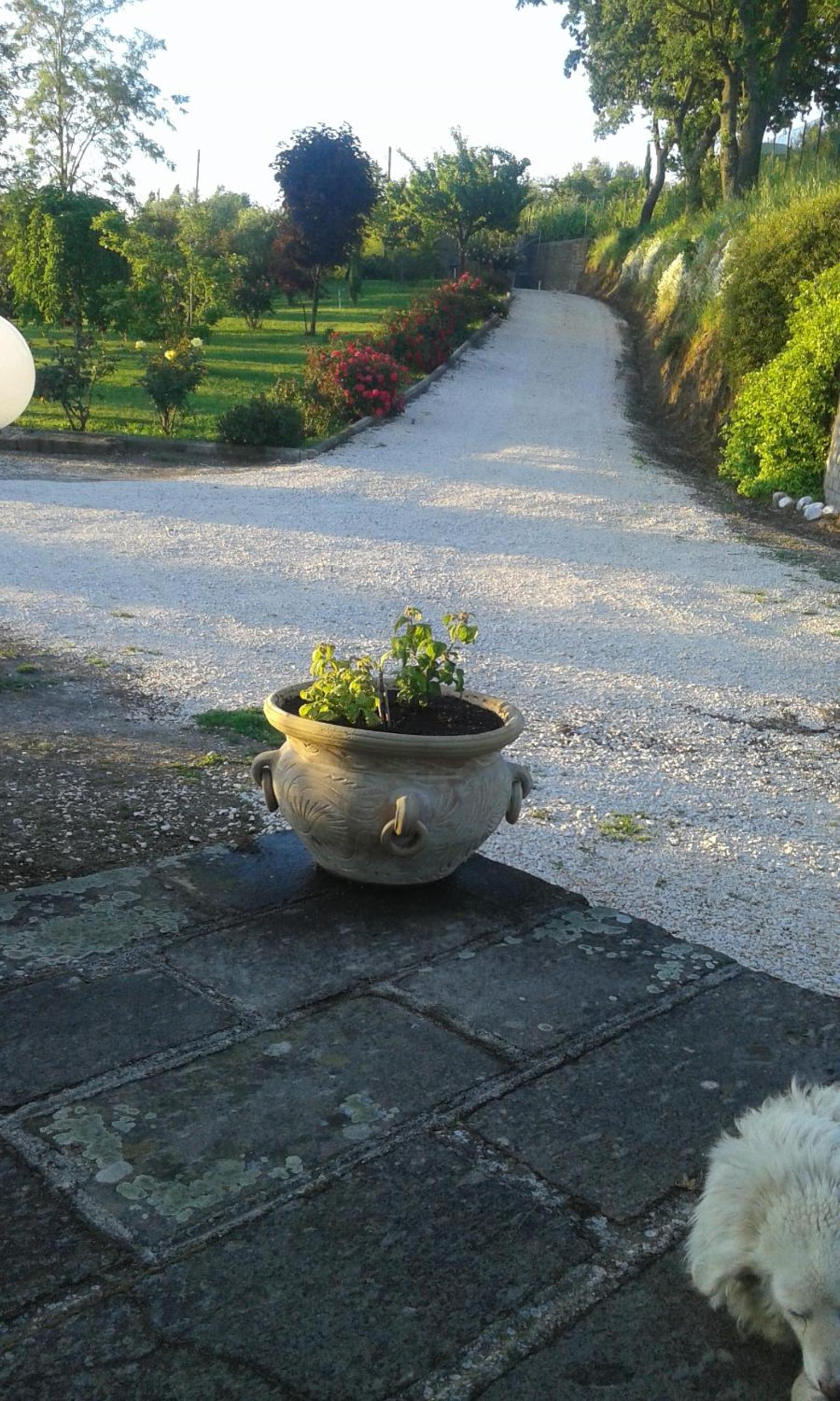 Alloggio Turistico