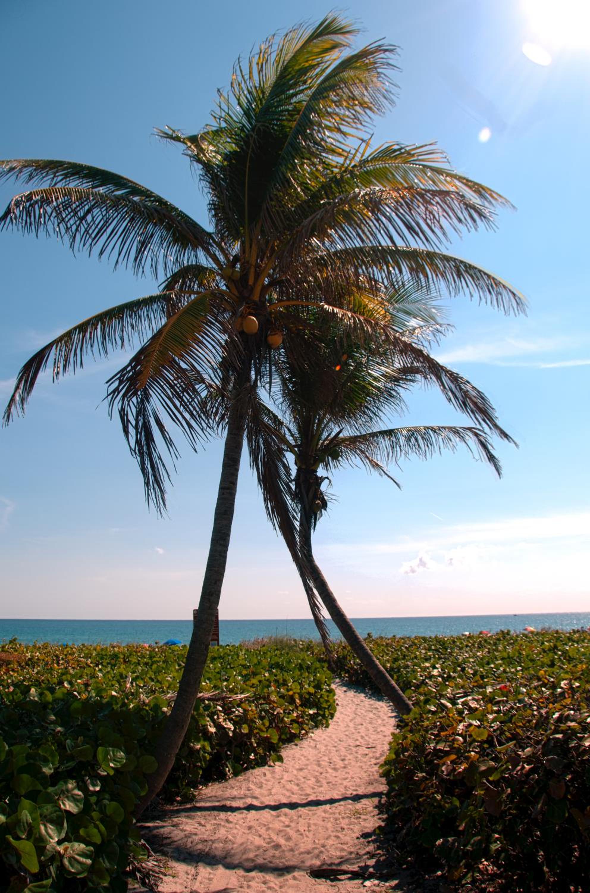 West Palm Beach Vacations - The Dover House Resort - Property Image 36