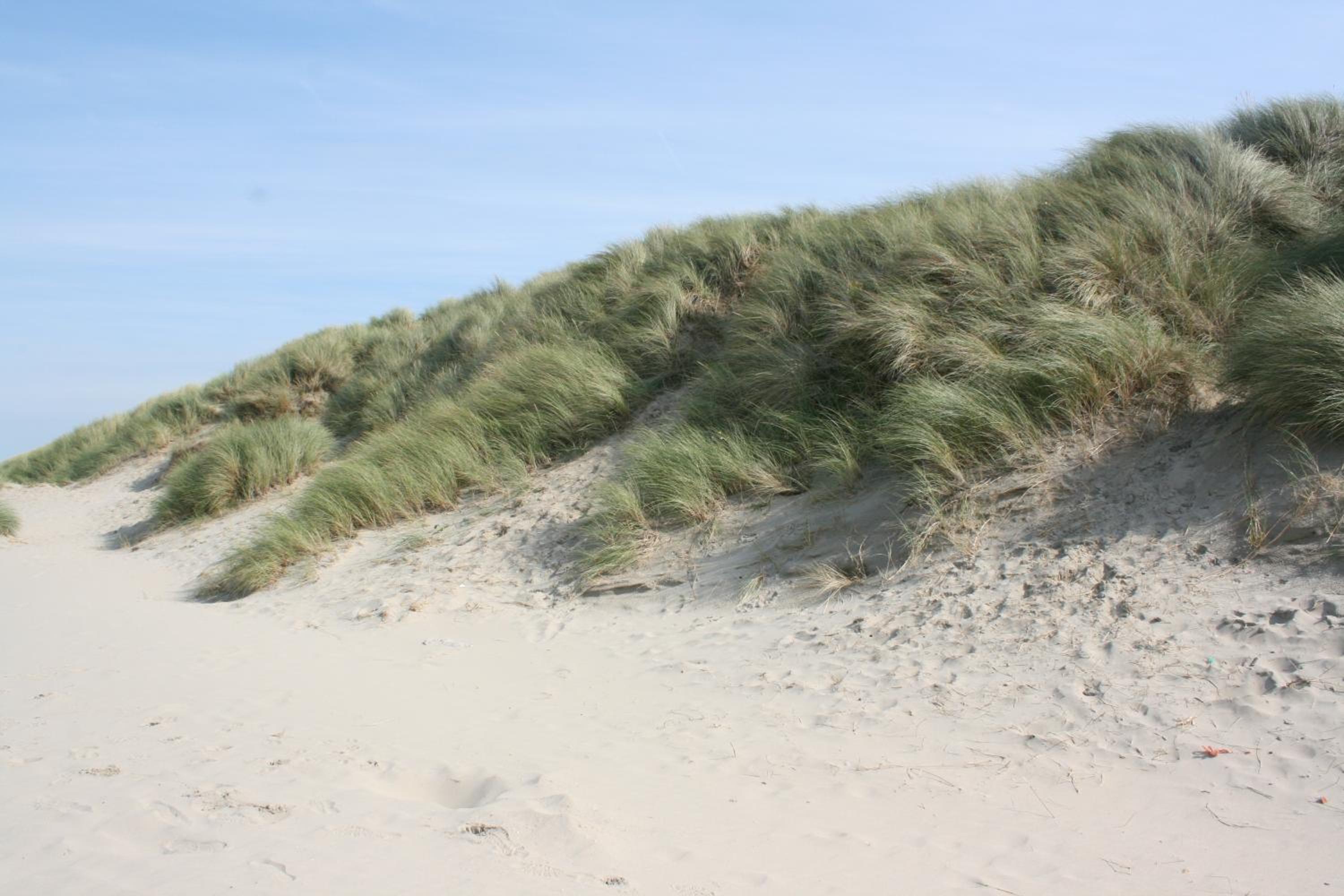 Vakantienestje