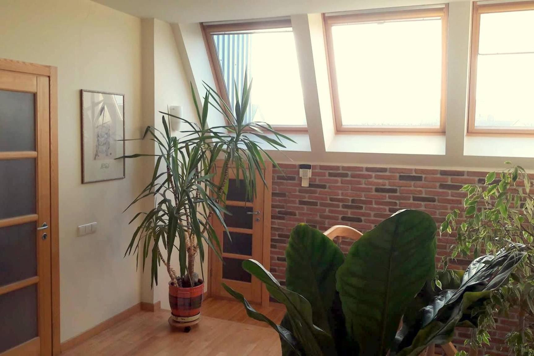 Apartamentai Luna