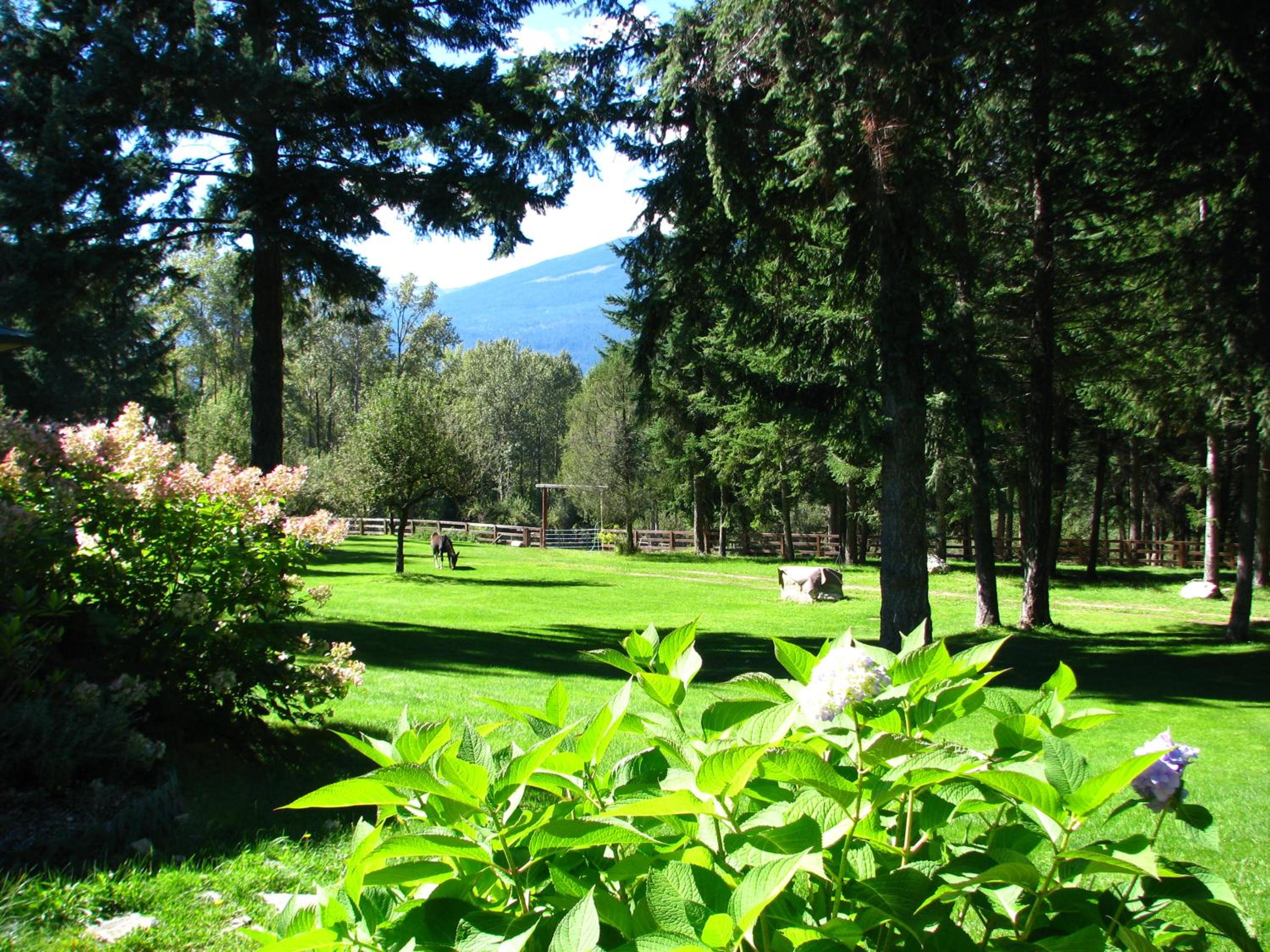 Shadow Mountain Cabins