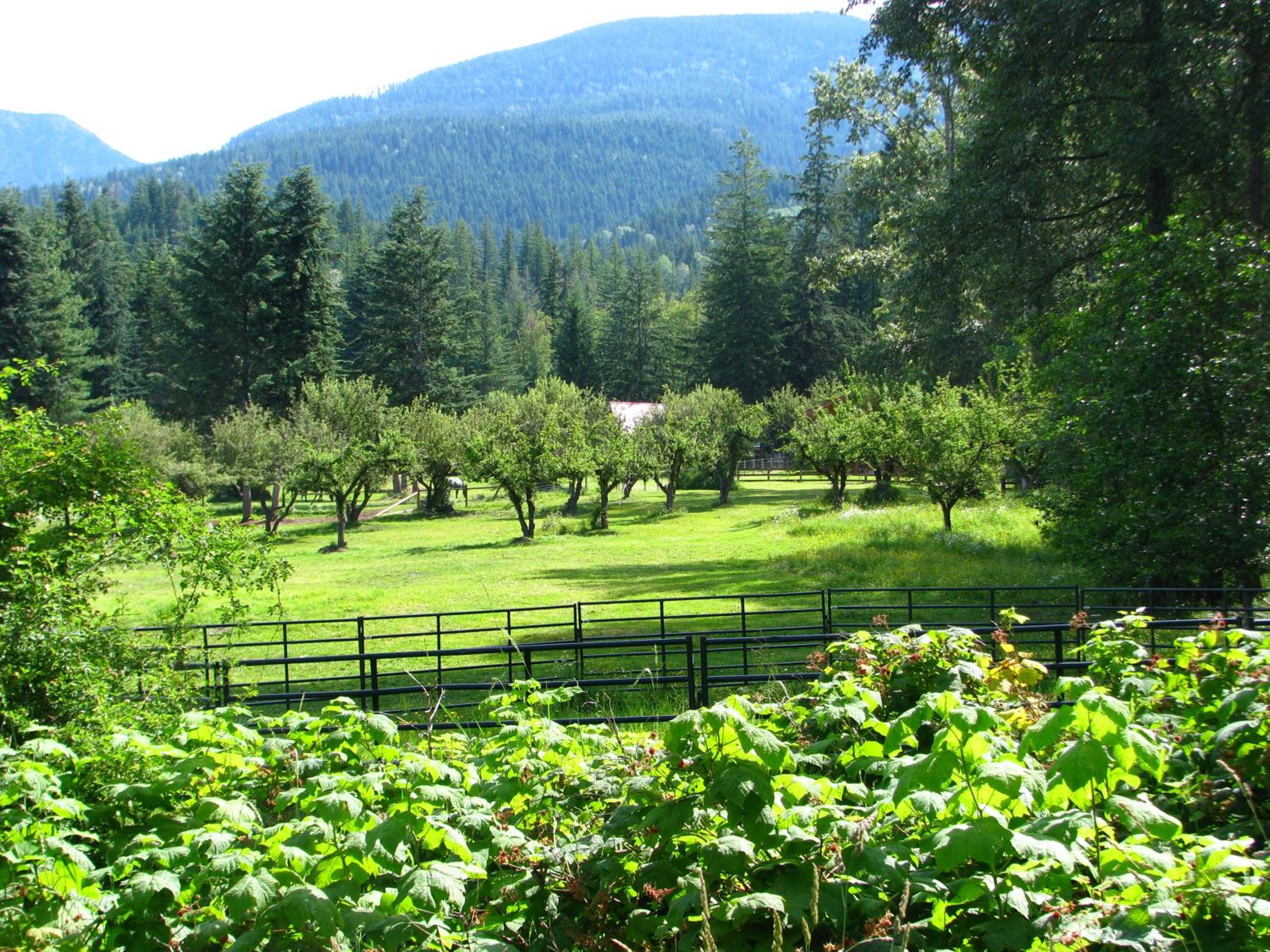 Shadow Mountain Cabins