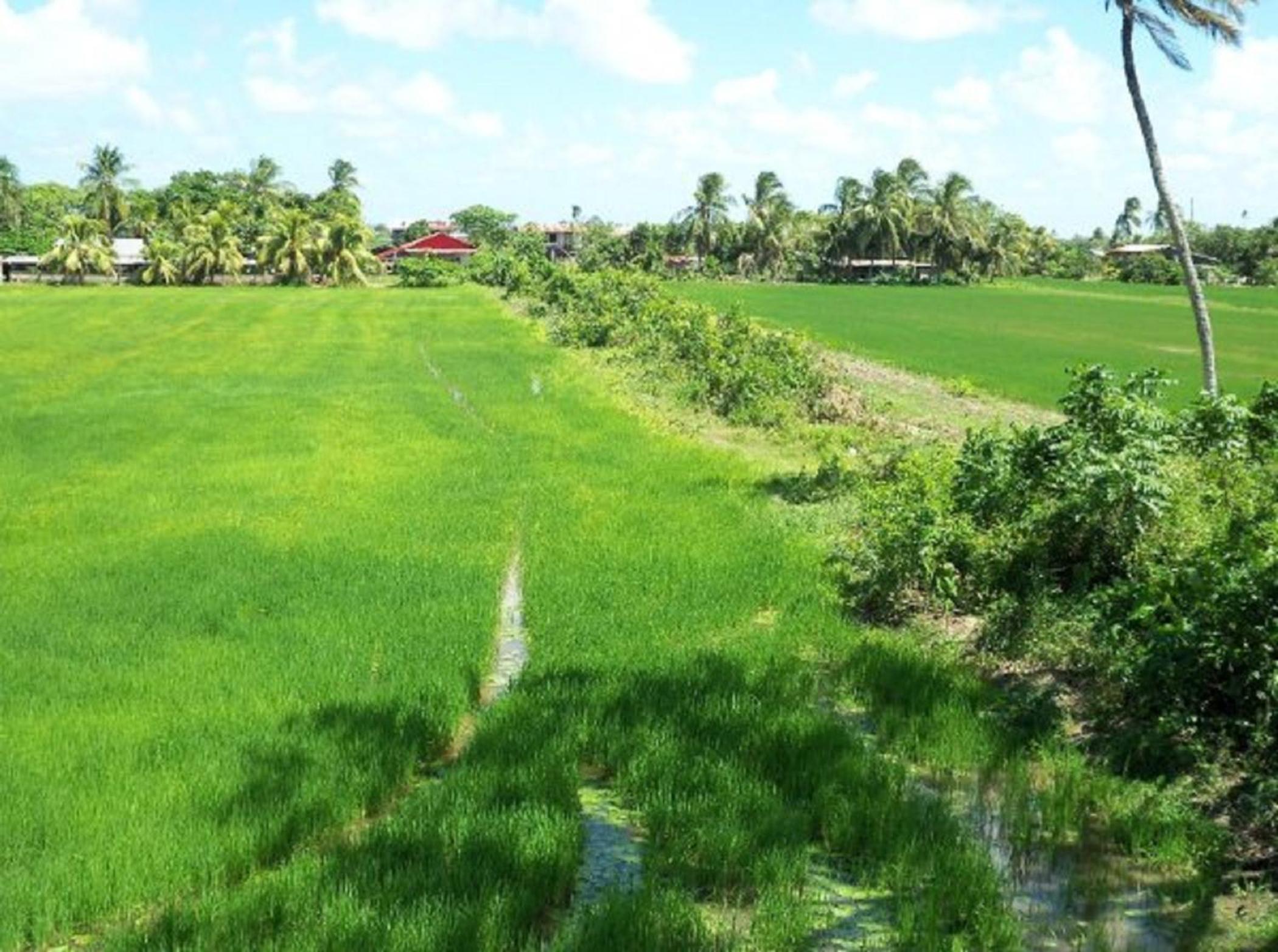 Villa Nickerie/ Suriname
