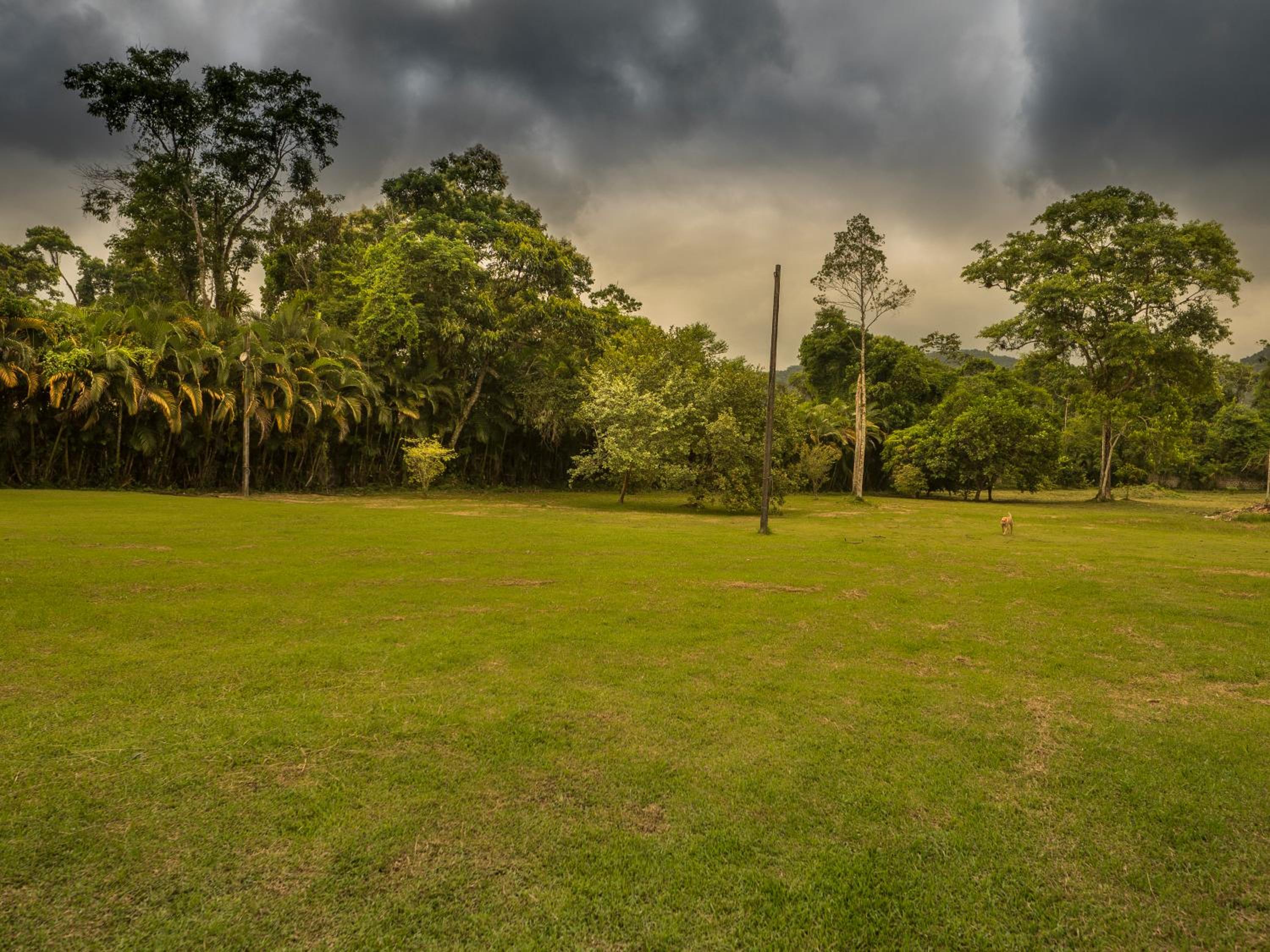 Photo 45