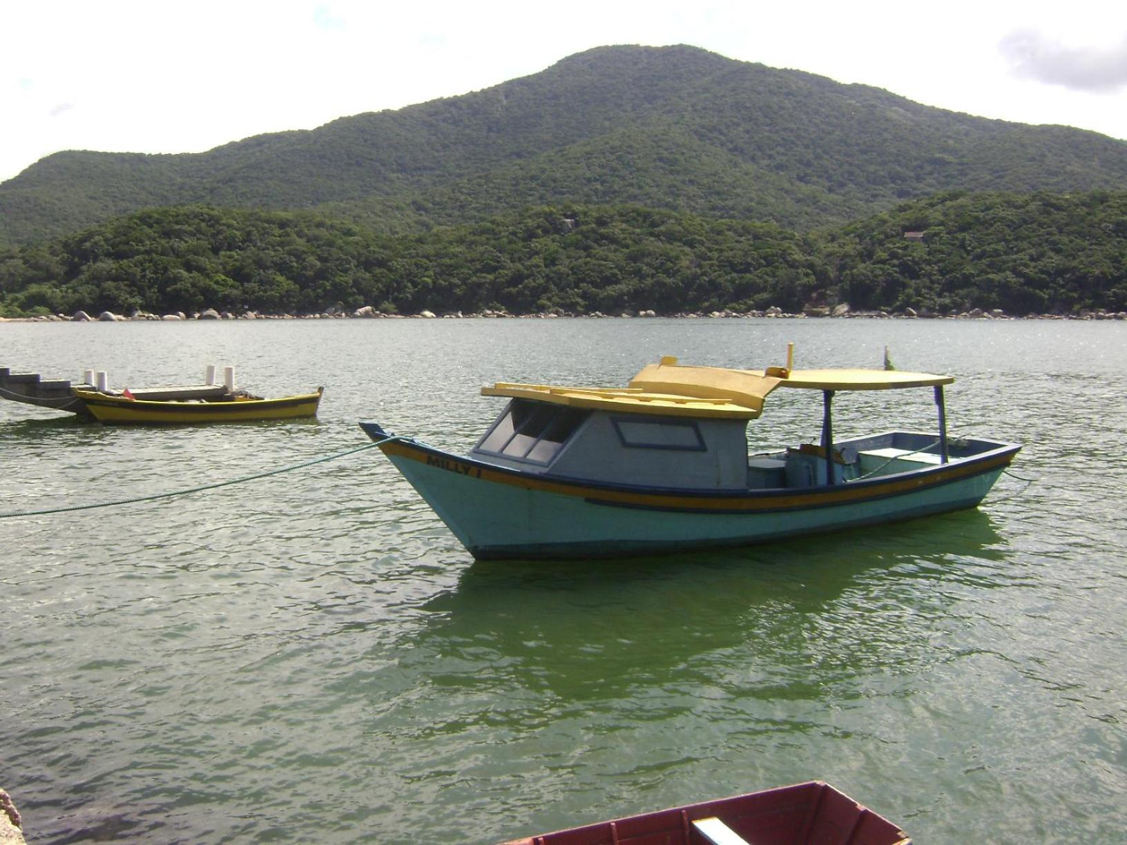 Lindo Apto, 50metros do mar, Ideal Para Familias