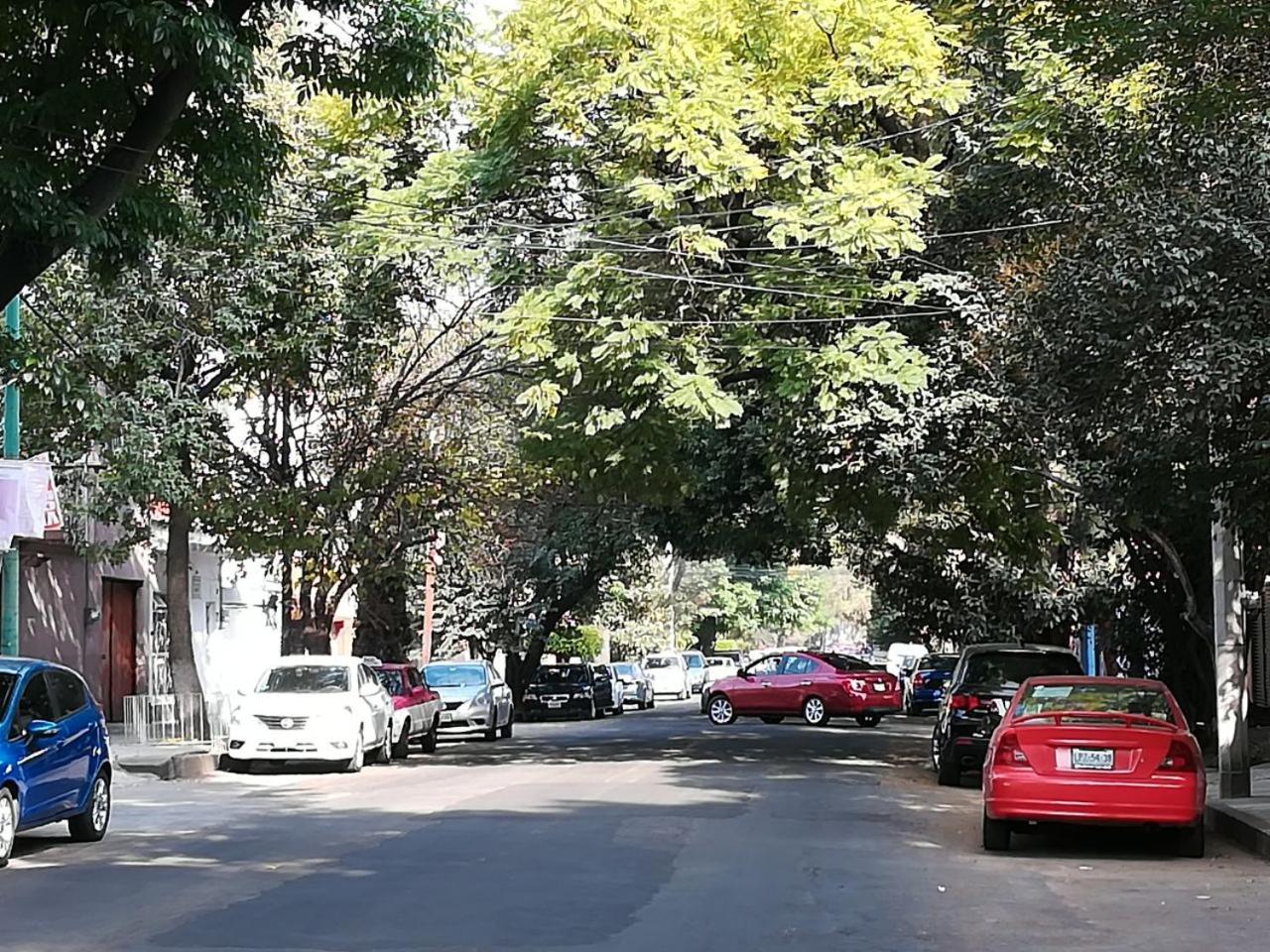 Photo 32