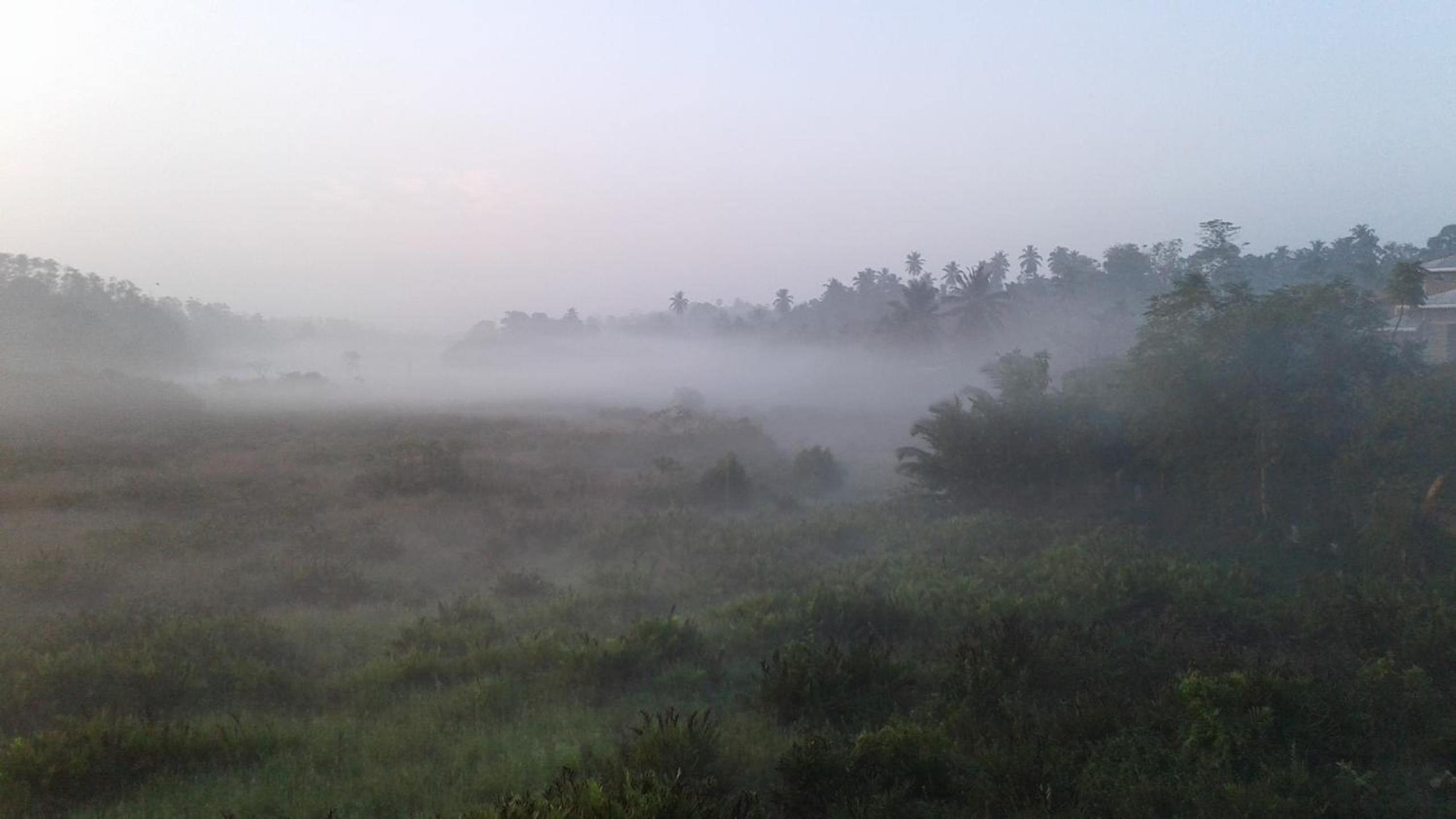 Photo 100