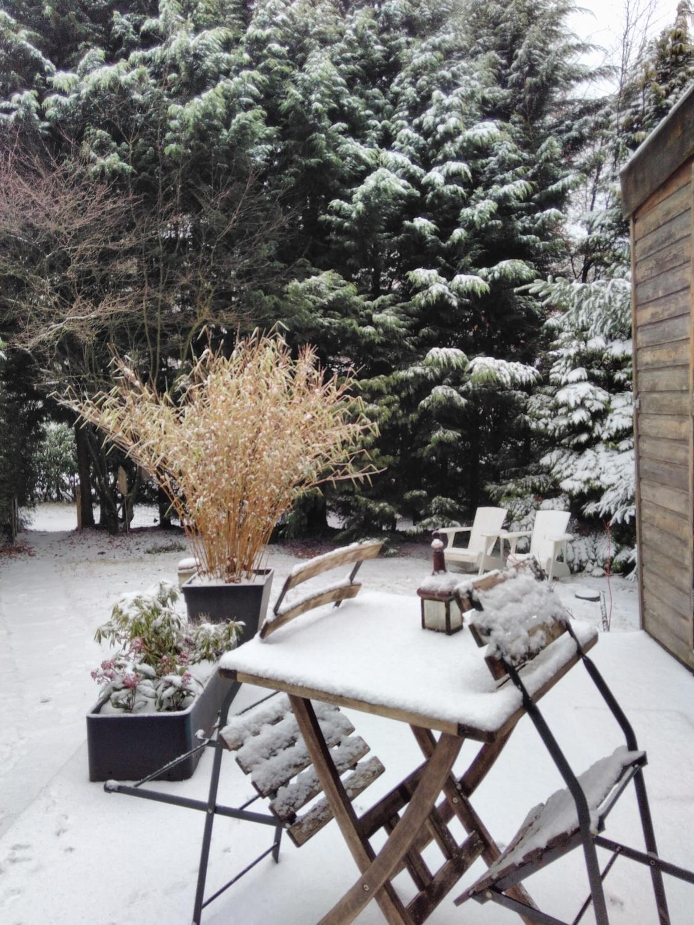 Knus huisje in het bos