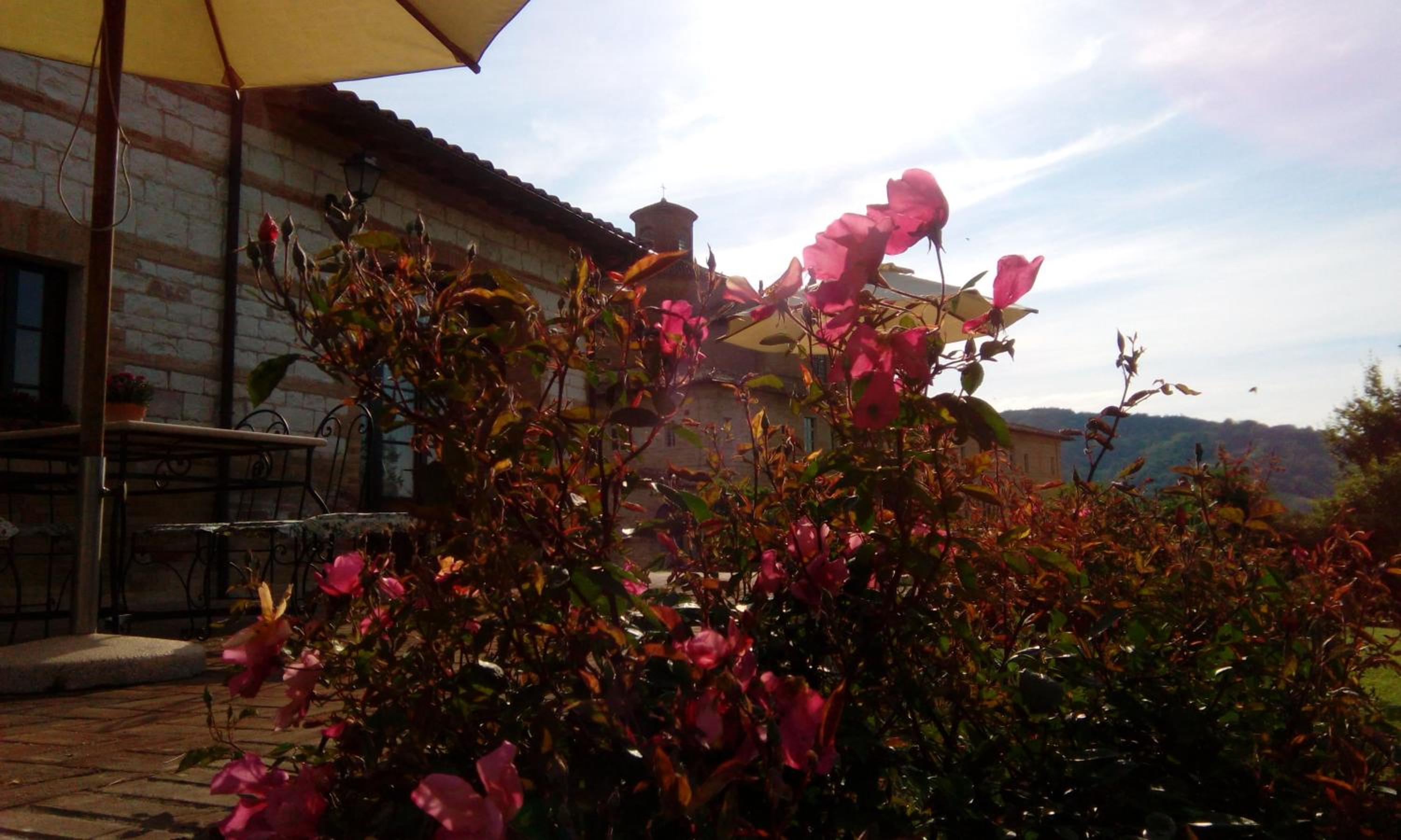 Photo 42
