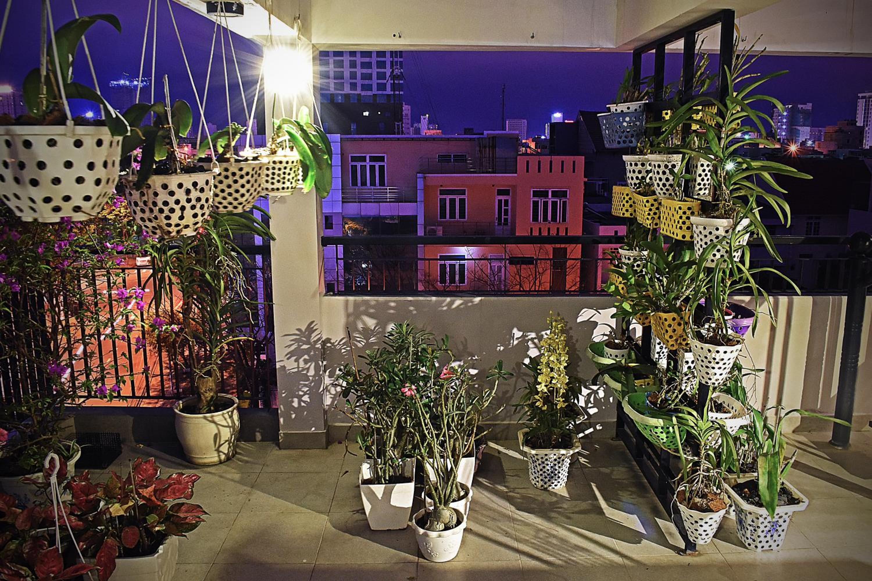 Kon-Tiki DaNang Hostel