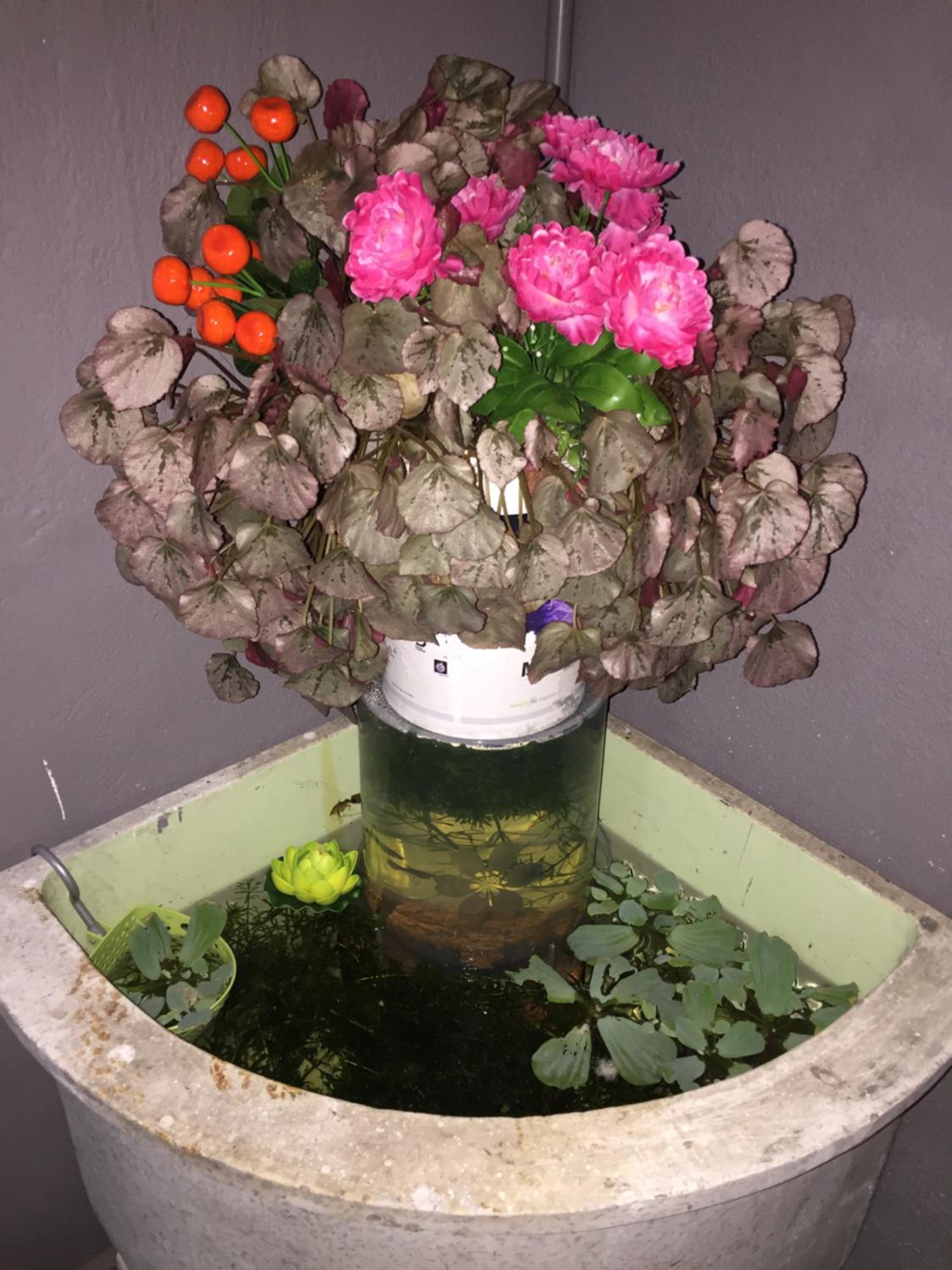 Photo 16