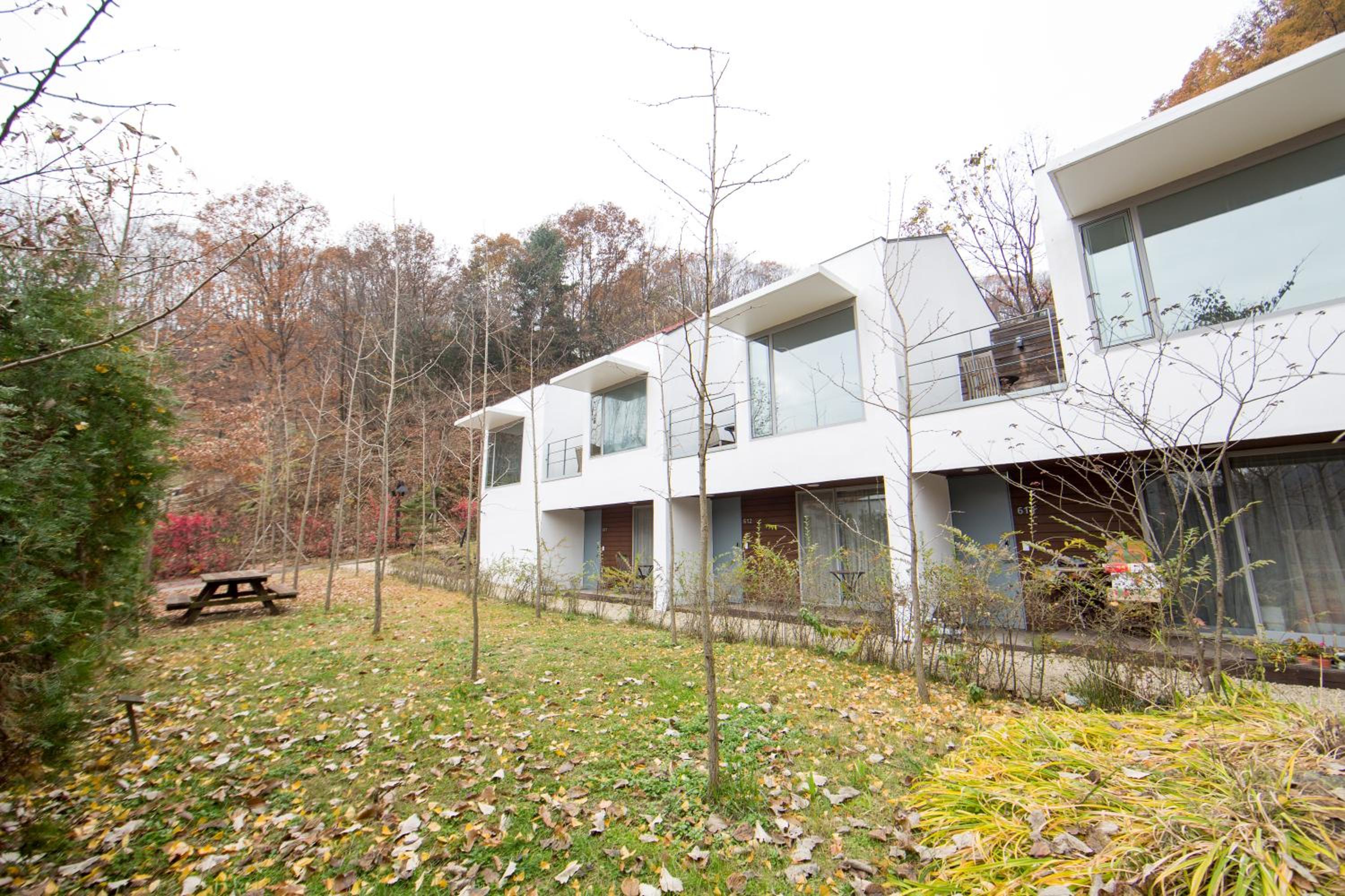 Healience Village