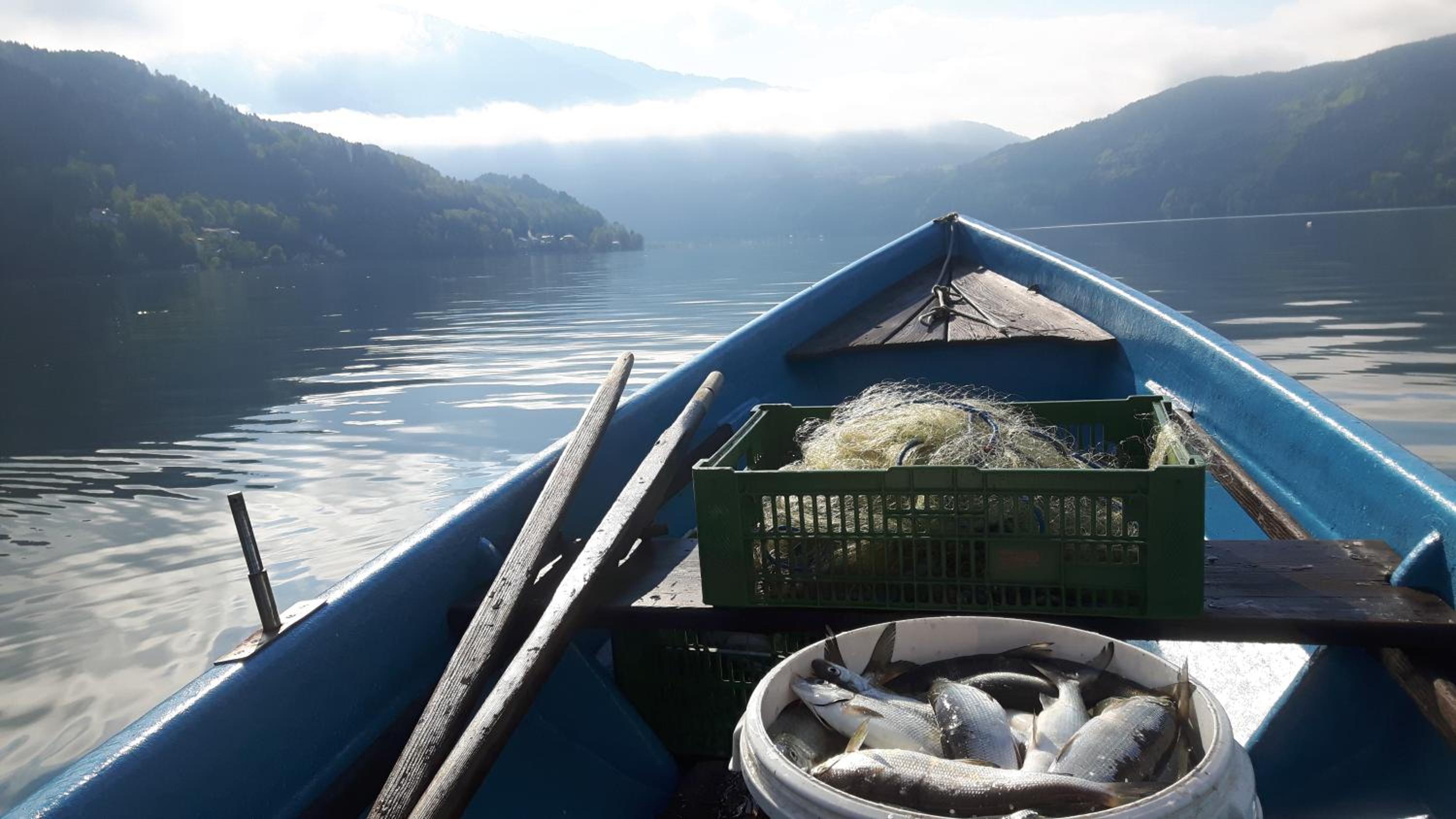 Ferienwohnungen Fischerhaus - direkt am See