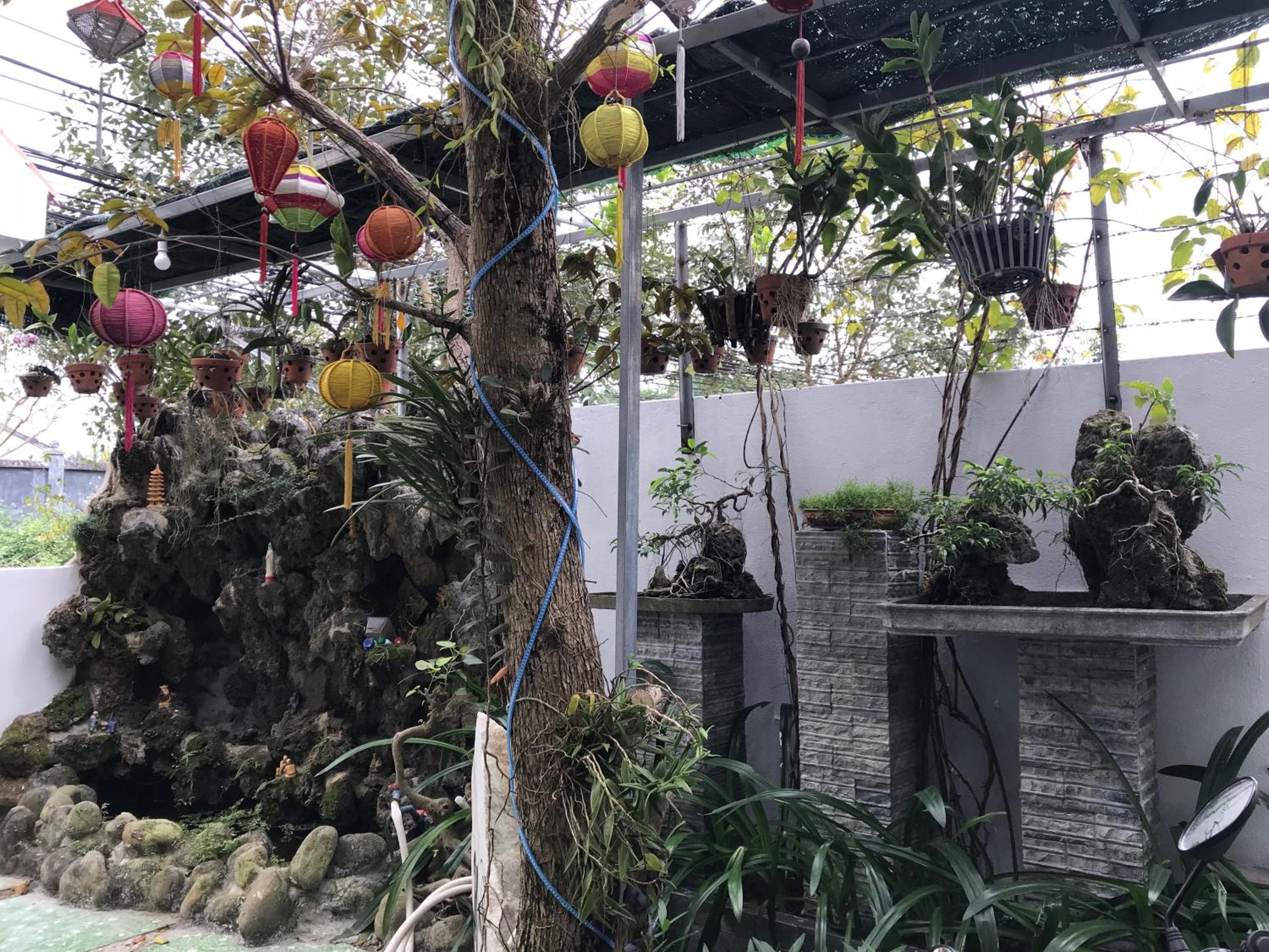 Cheerful Hoi An Hostel view 5