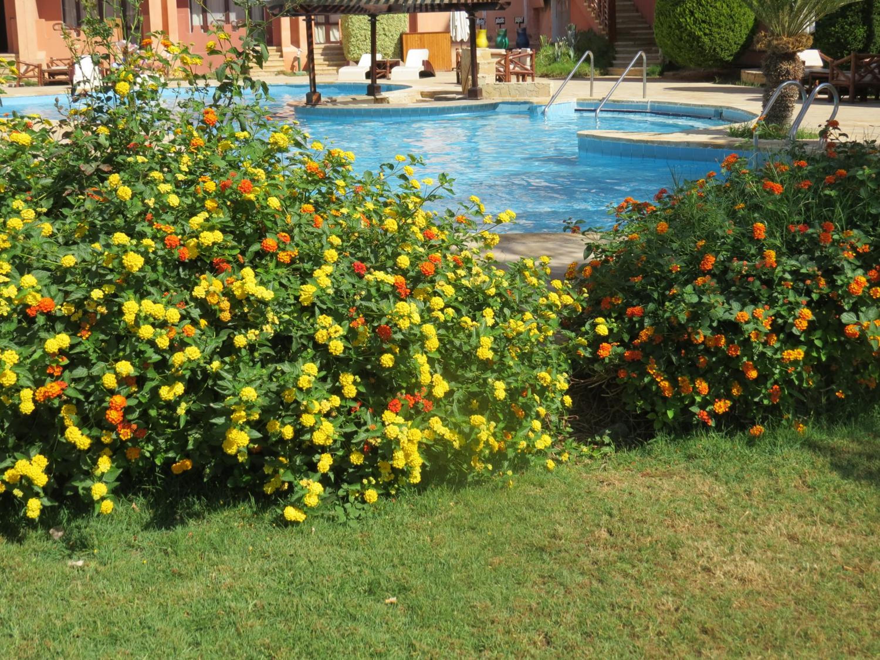 Africana Hotel & Spa