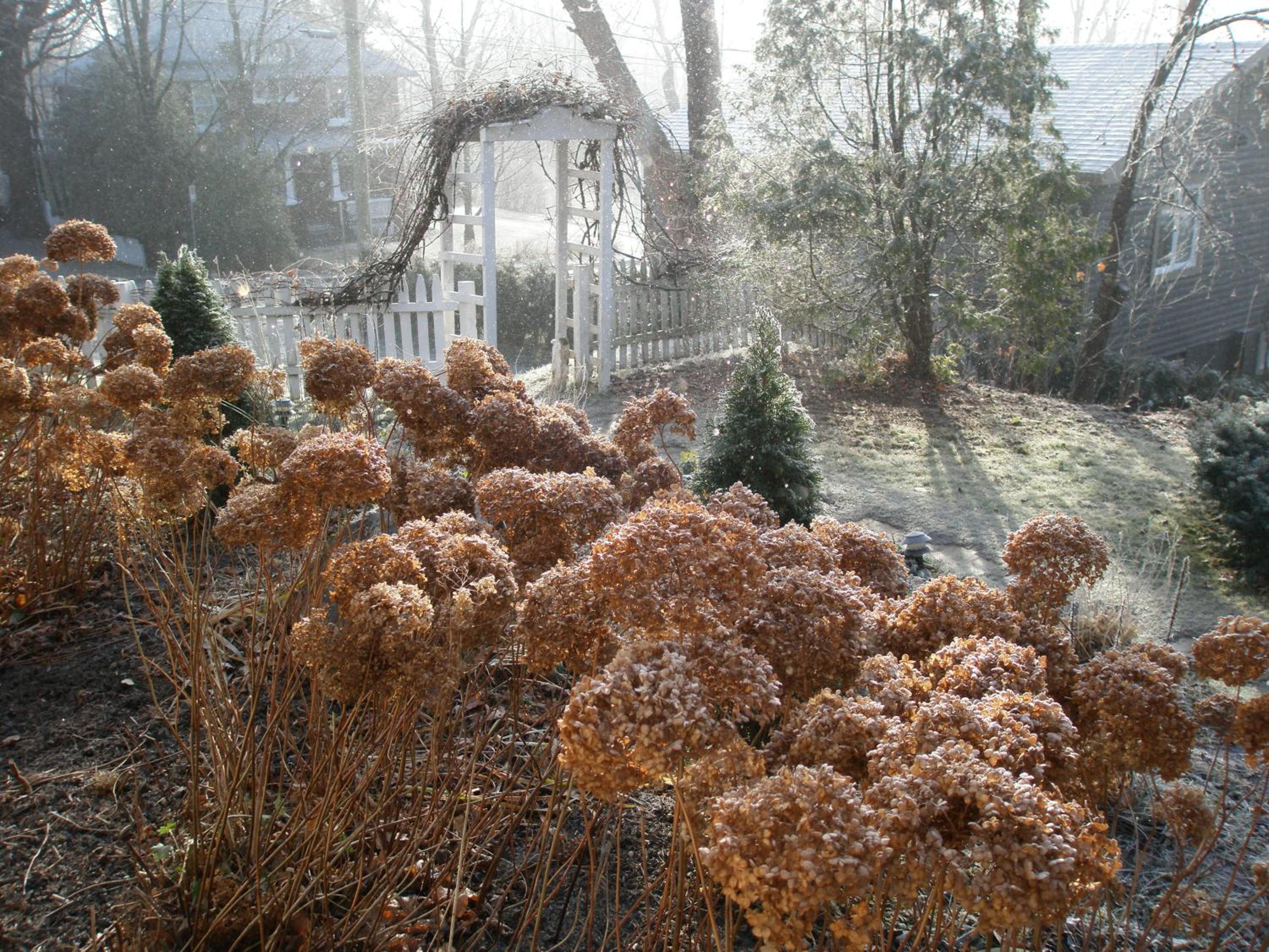 Ô Bois Dormant B&B