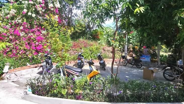 Nostress Guest House view 5