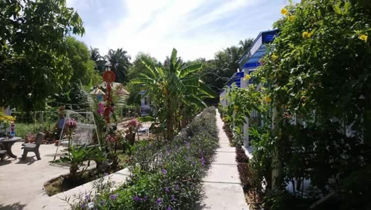 Nostress Guest House view 4