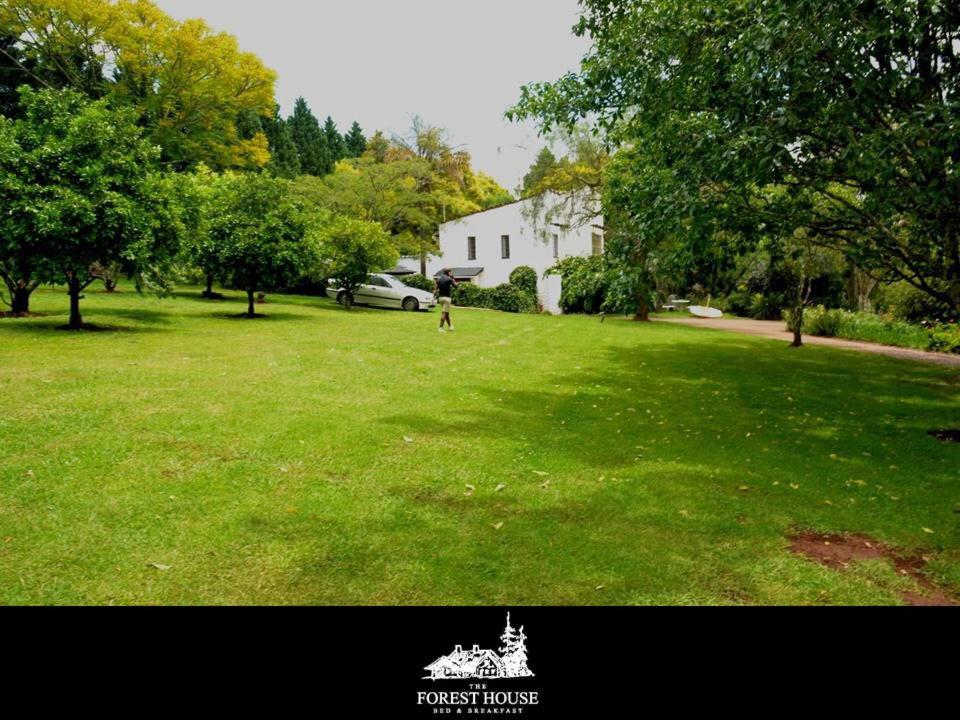 Forest House B&B view 4