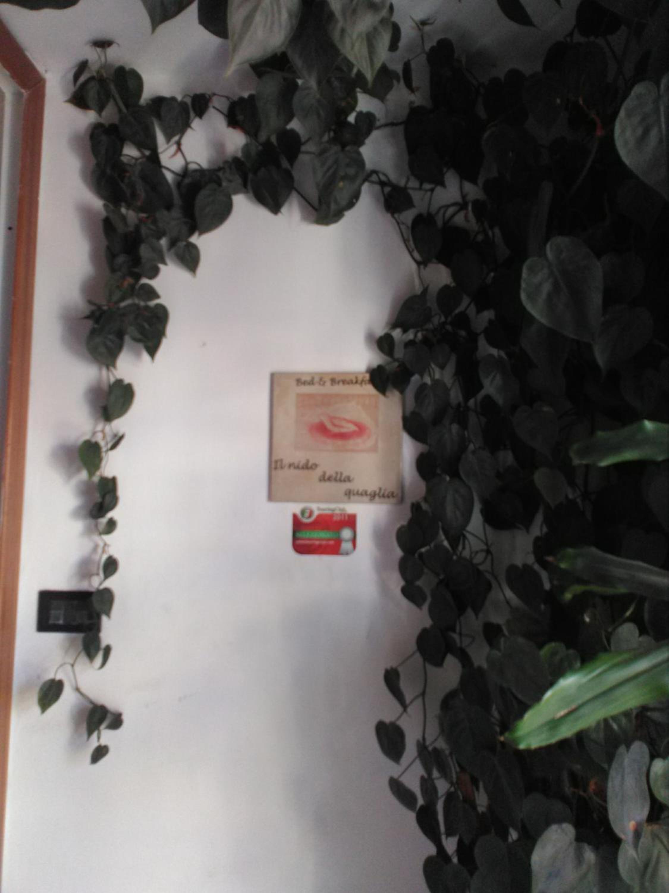 Il Nido della Quaglia b&b - Jaba mia House LT