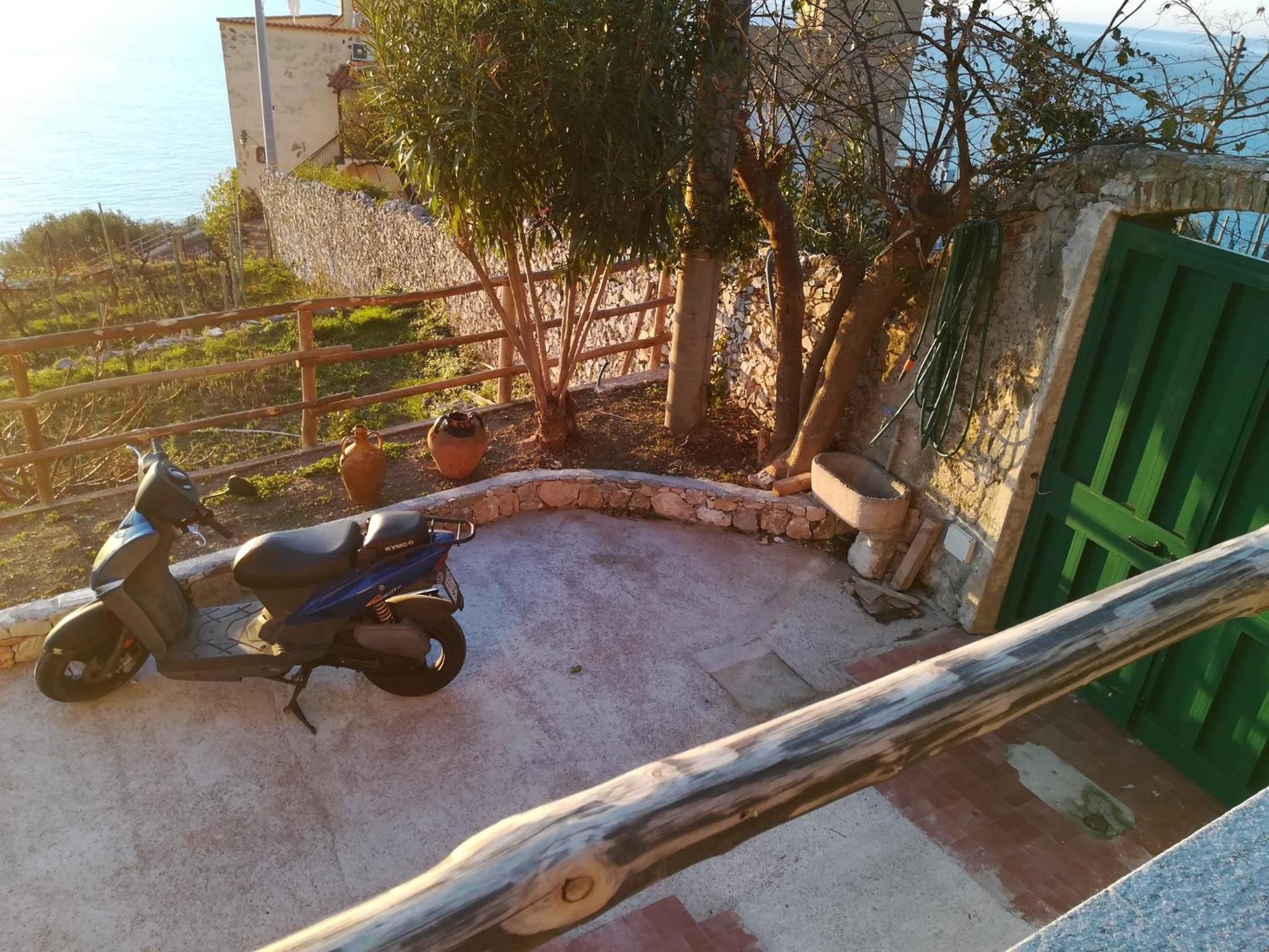 Photo 33