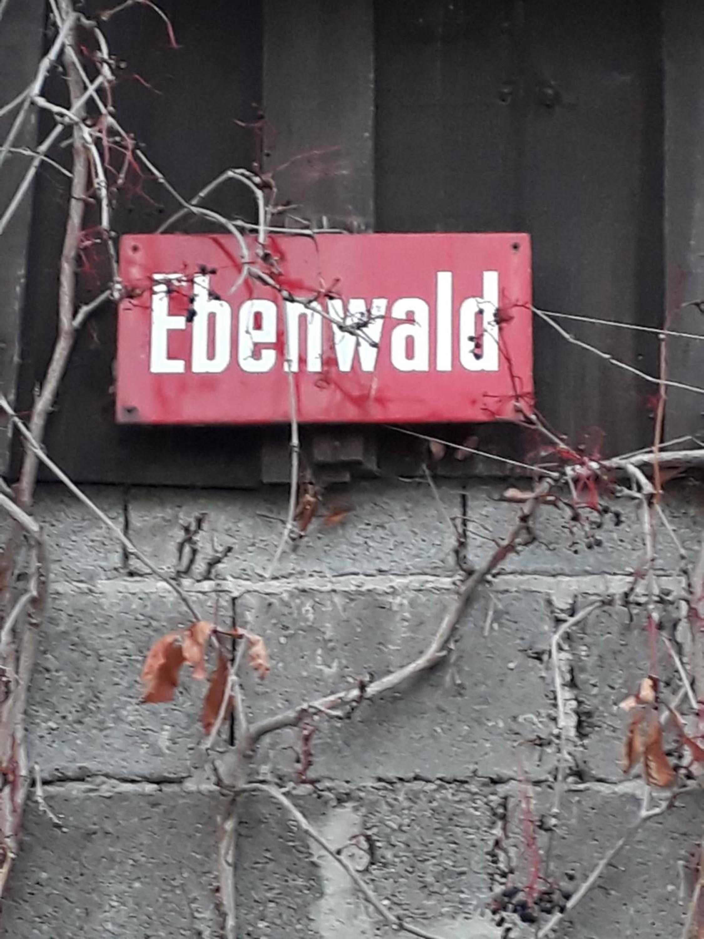 Bauernhof Hammerer