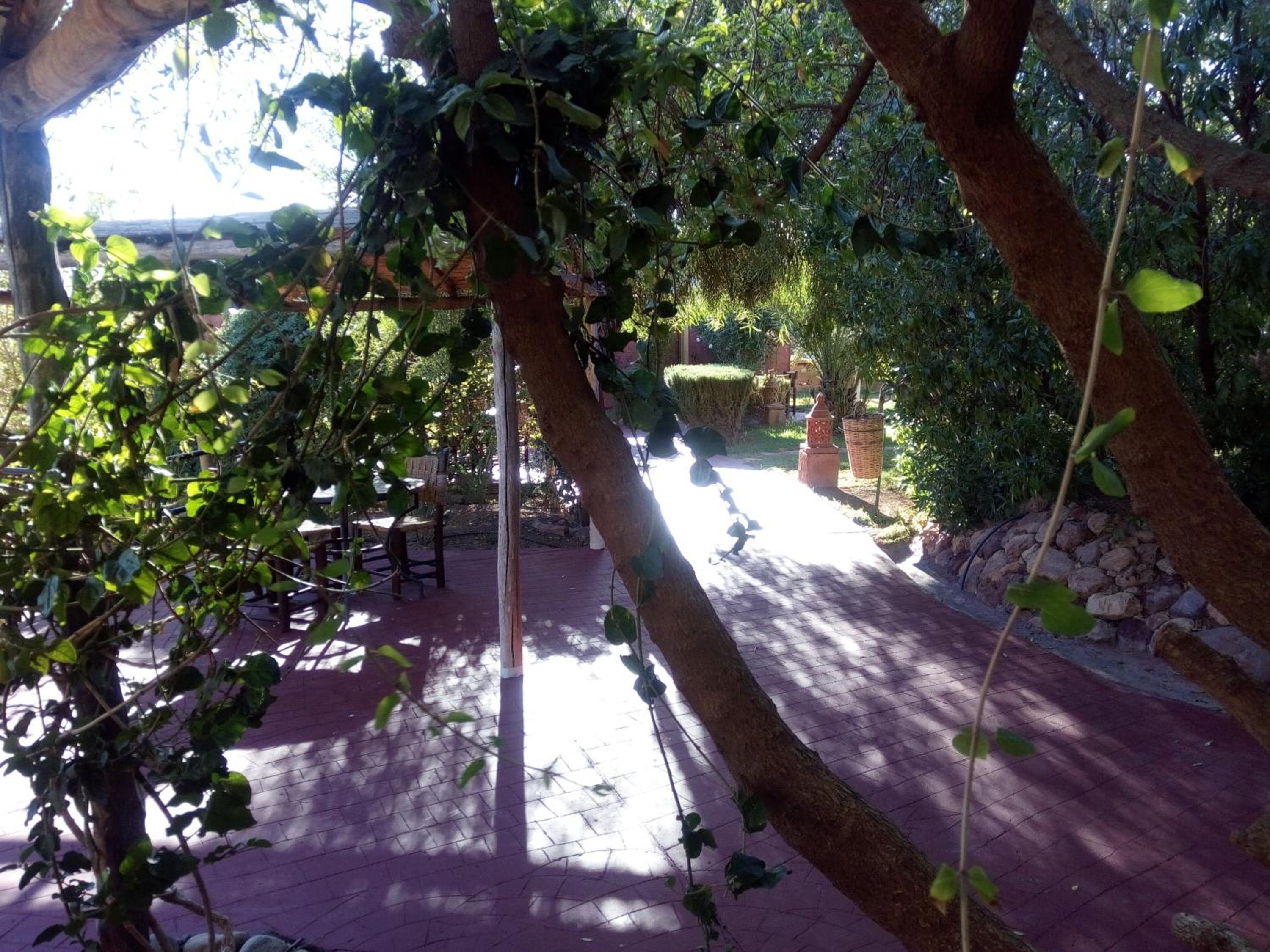 Photo 10