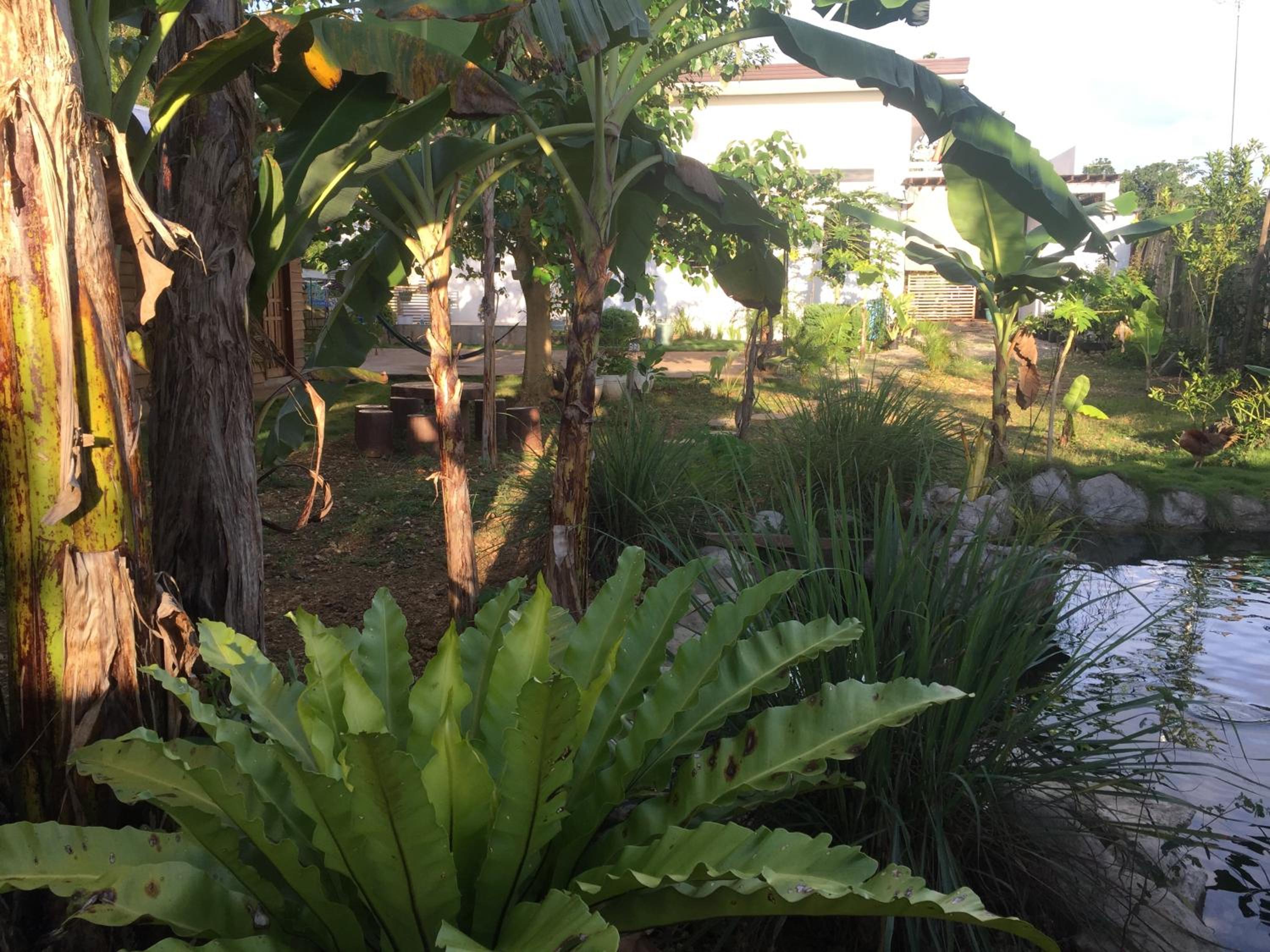 Terreza's Place