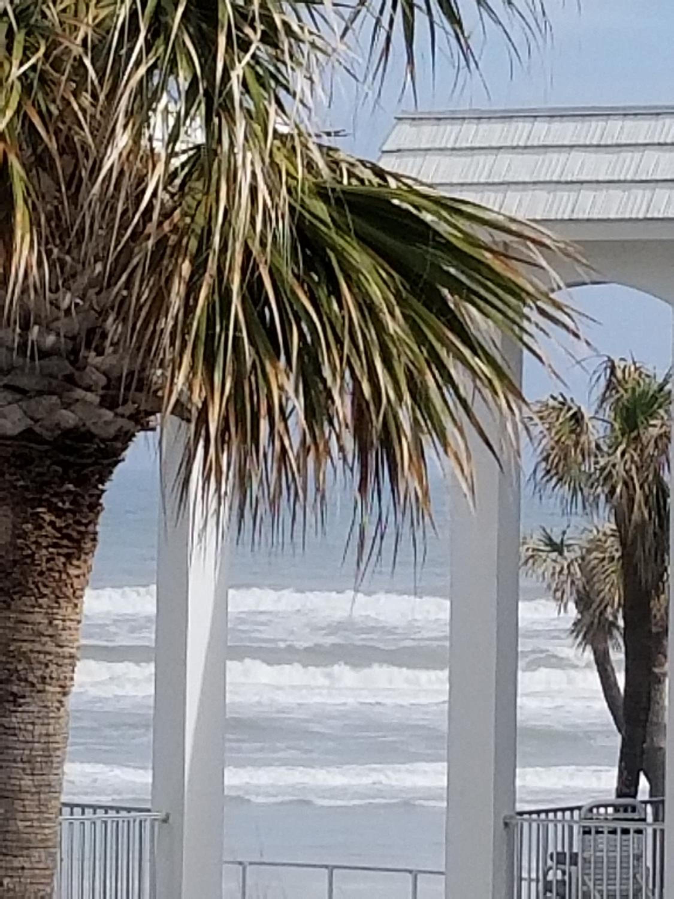 Paradise In New Smyrna Beach Florida view 4