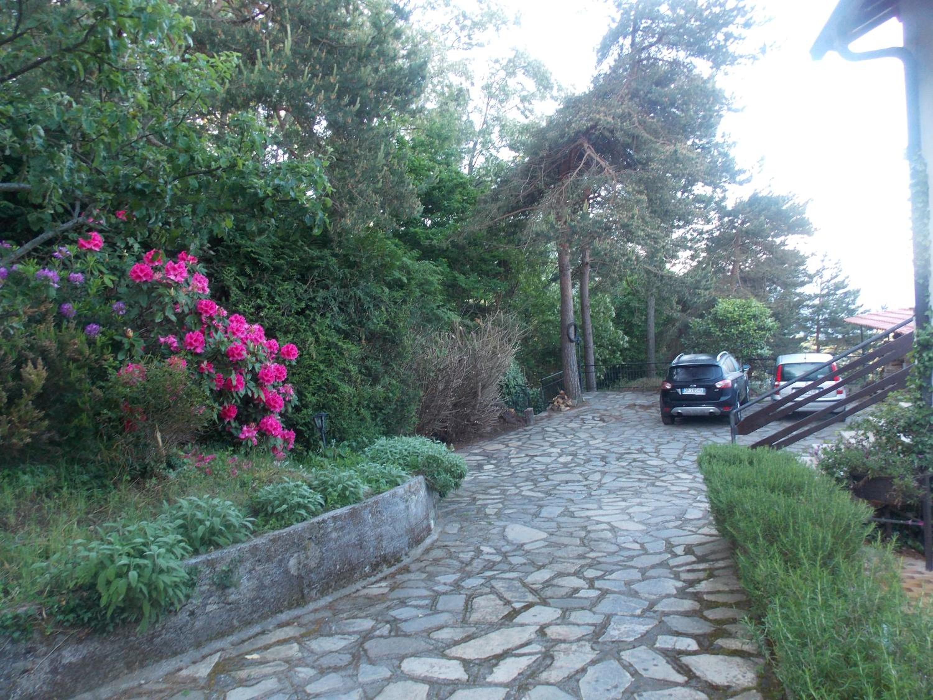 B&B Le Camelie del Bosco