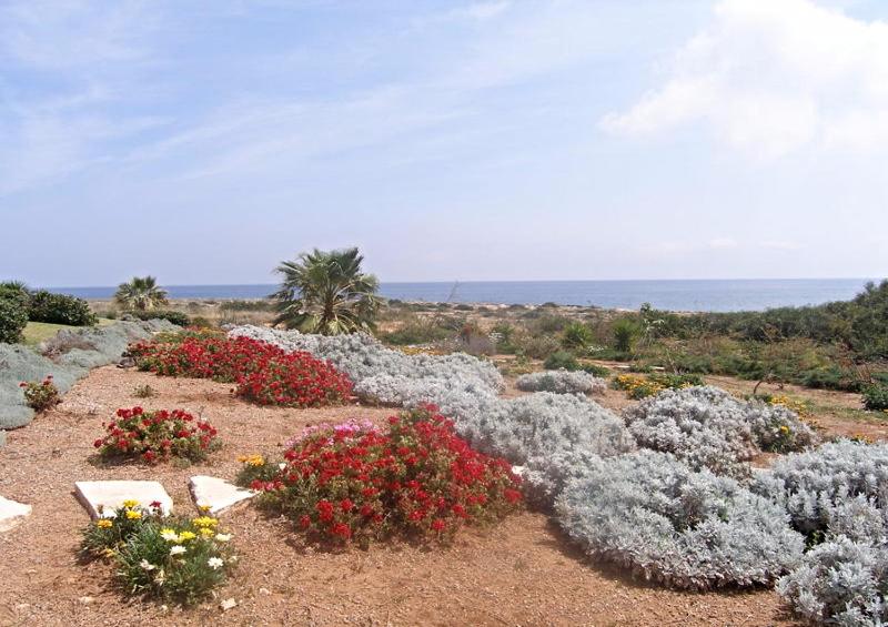 Luxury Bay View Villa 20 Right On Τhe Beach