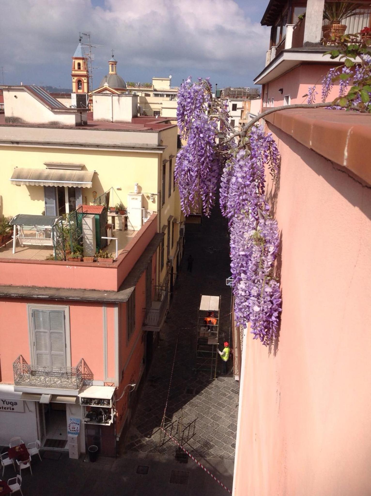 Il Nido della Quaglia b&b - Jaba mia House LT