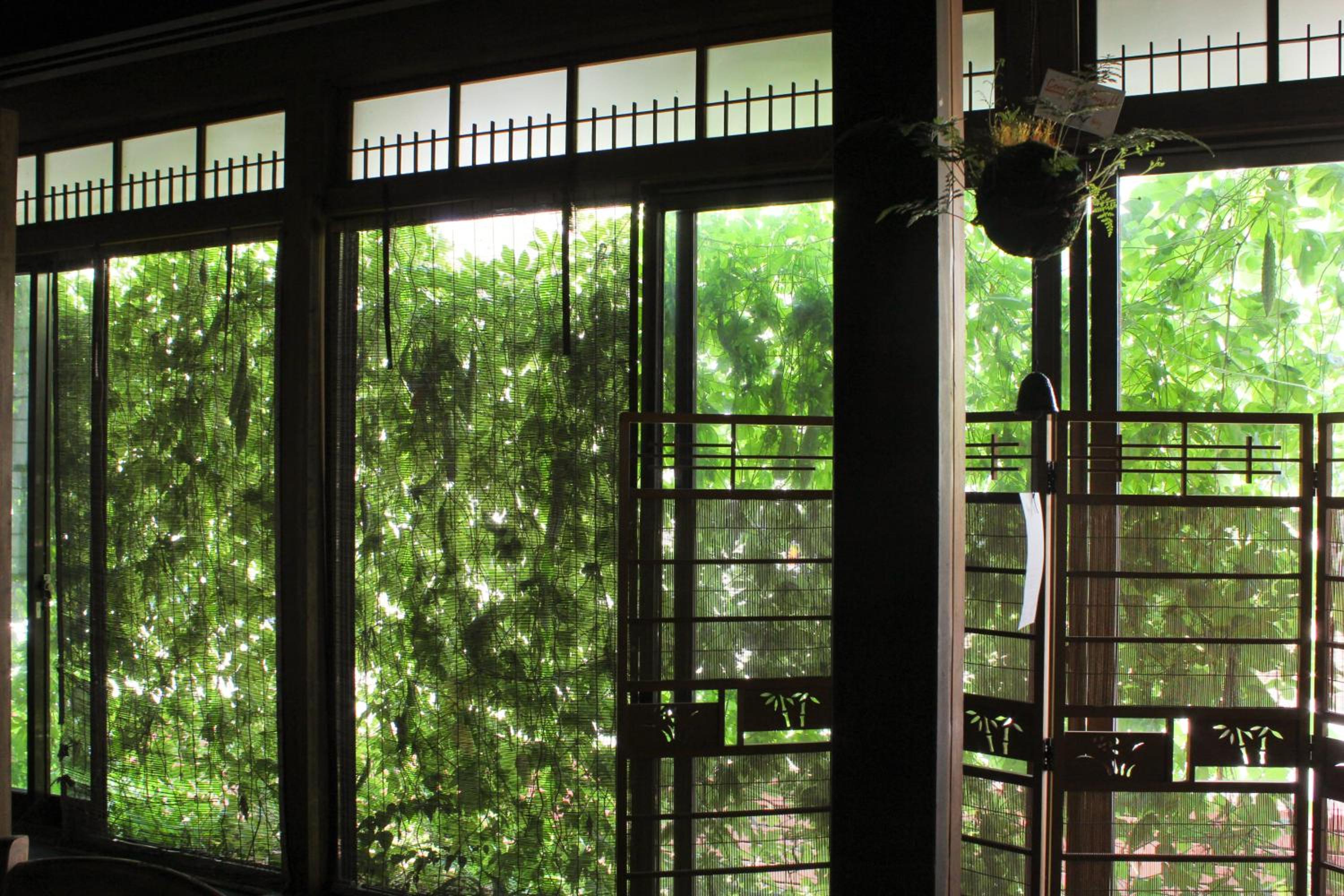 Guest House Kamejikan -turtle time-
