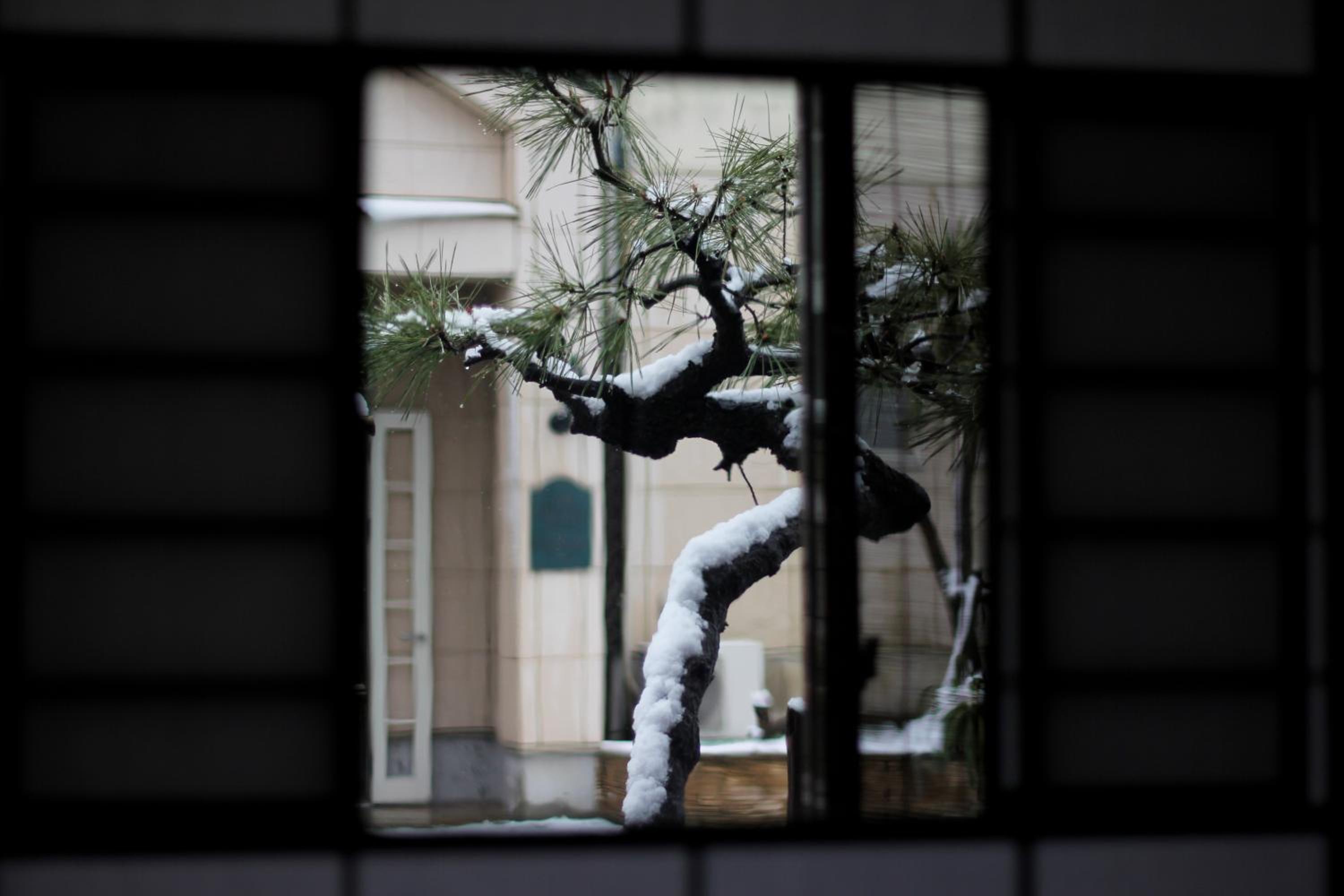 Guest House Kamejikan -turtle time-