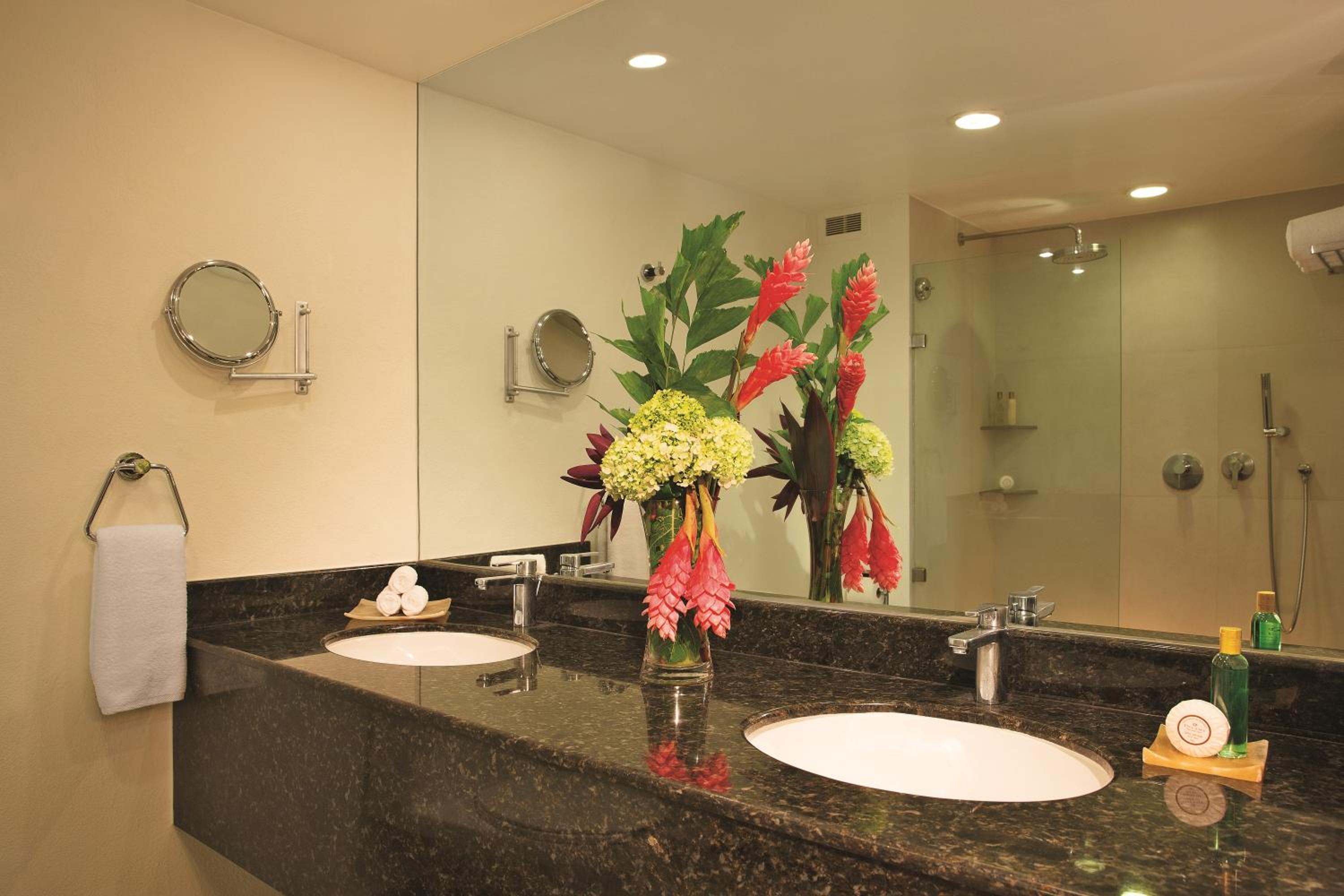 Dreams Huatulco Resort  Spa - Property Image 12