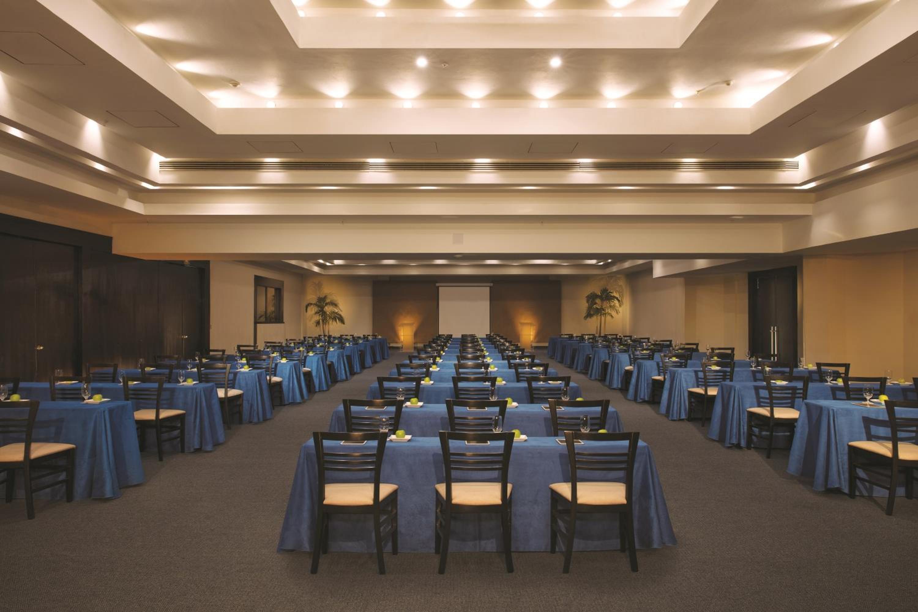 Dreams Huatulco Resort  Spa - Property Image 36