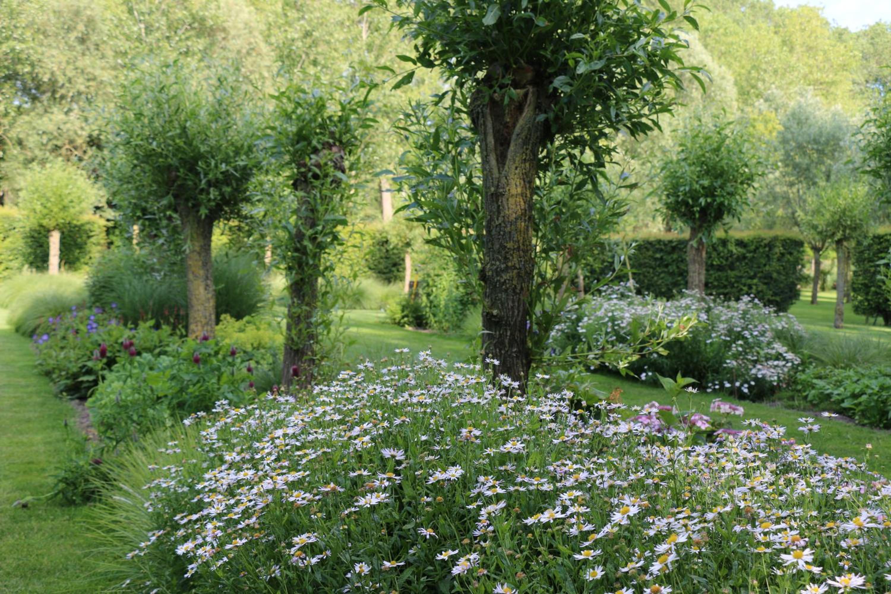 B&B Pronkenburg