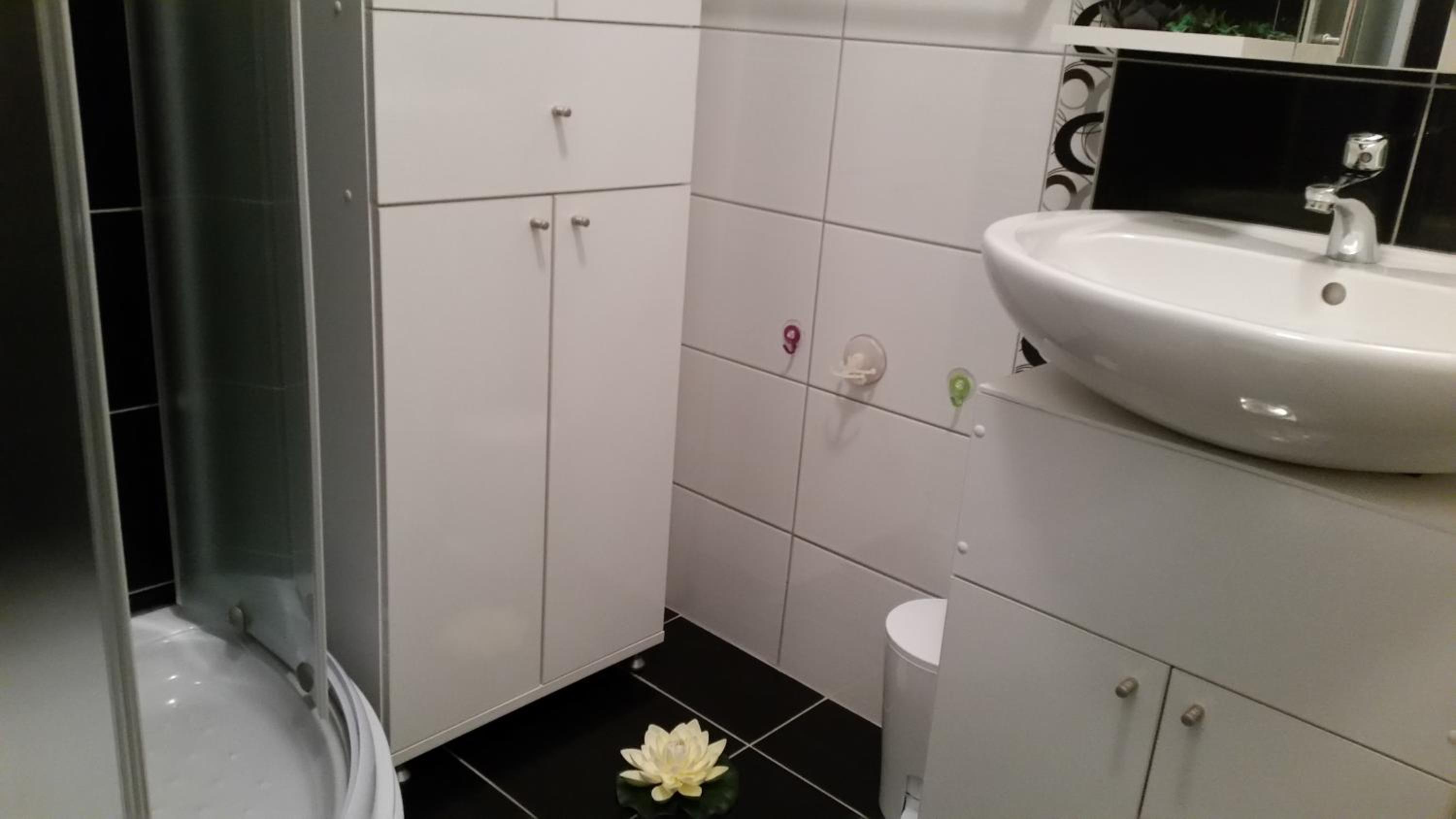 Photo 42