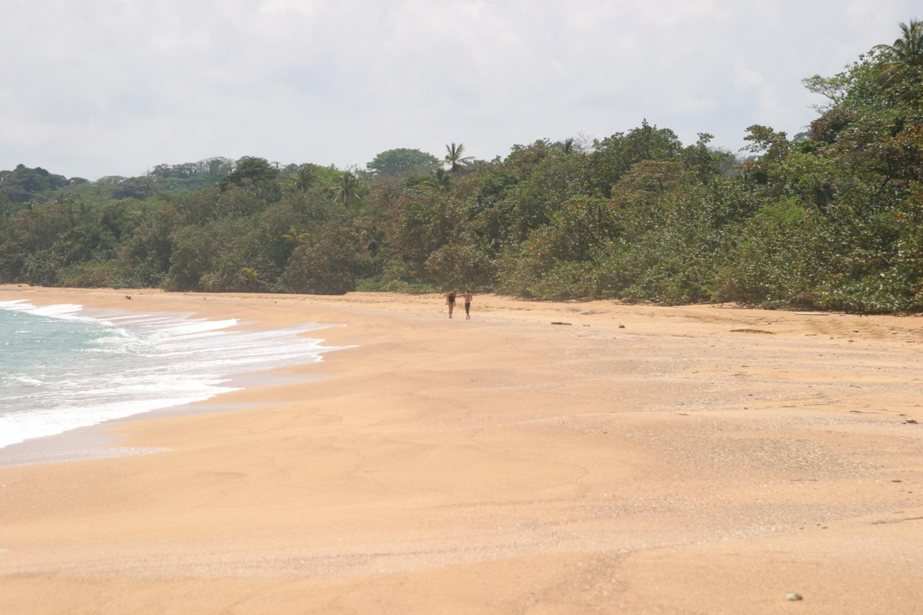 Bluff Beach Retreat