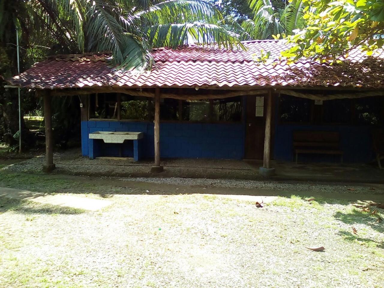 Photo 42