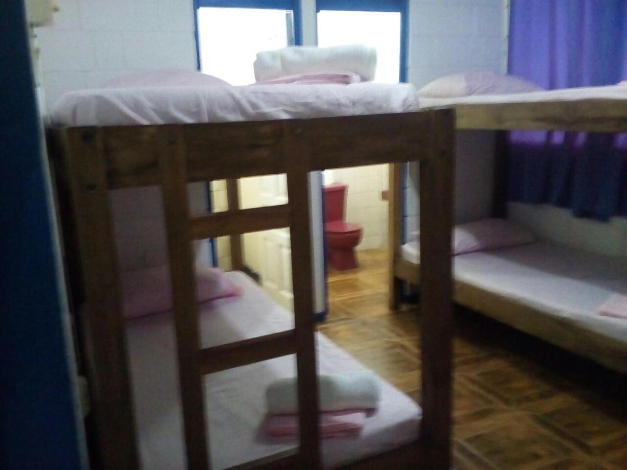 Photo 46