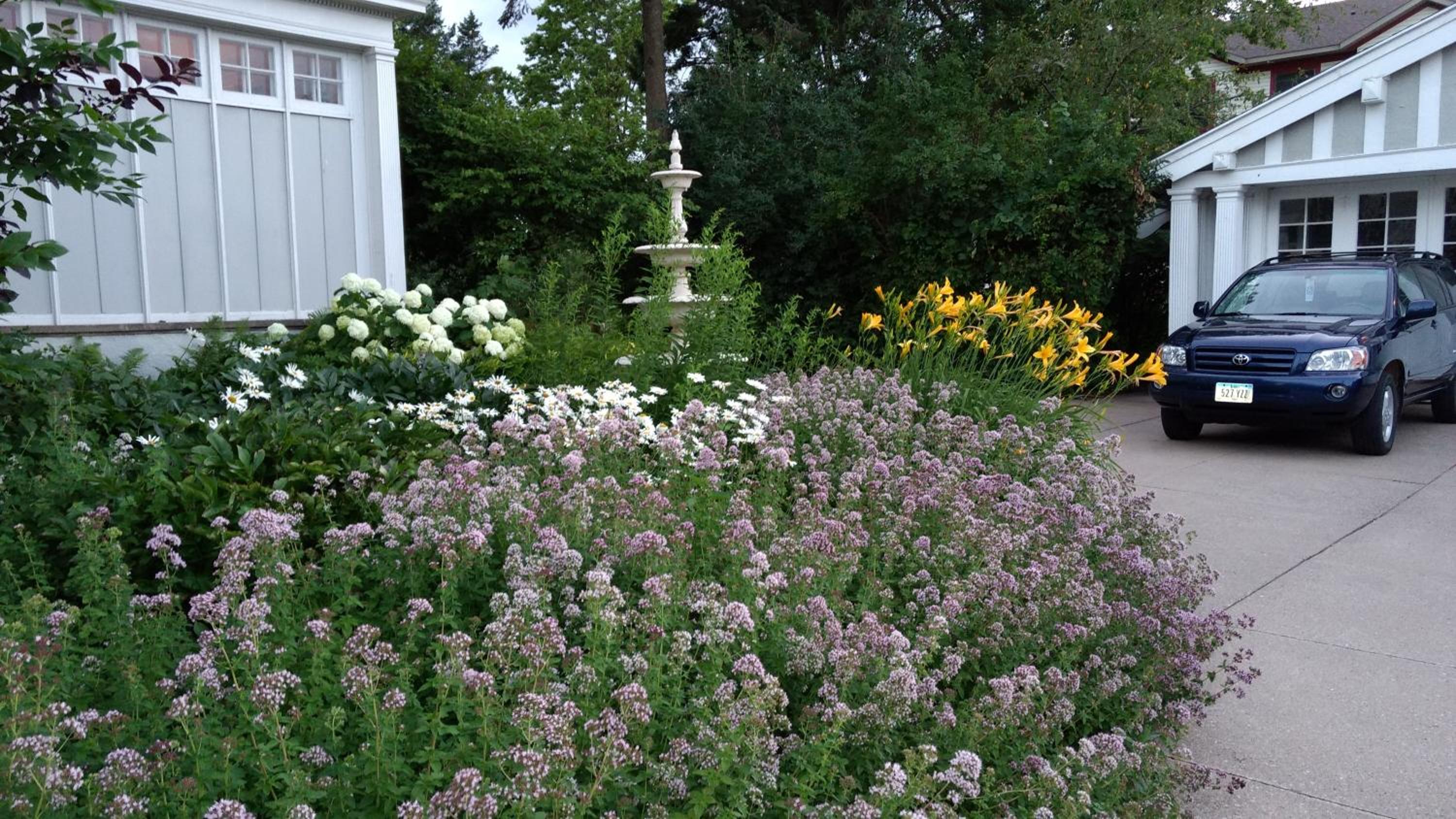 Photo 22