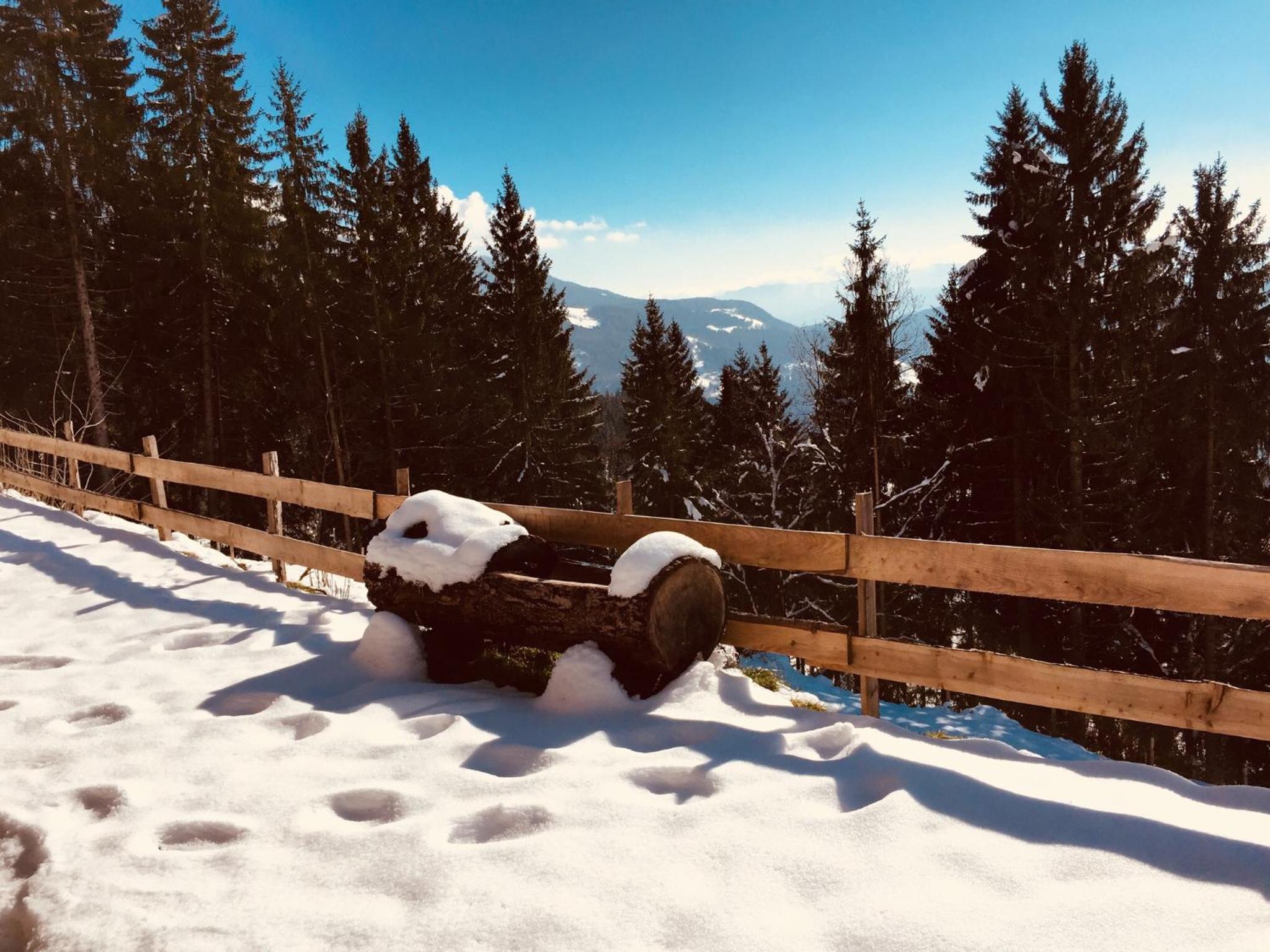 Reinwalds Almhütte