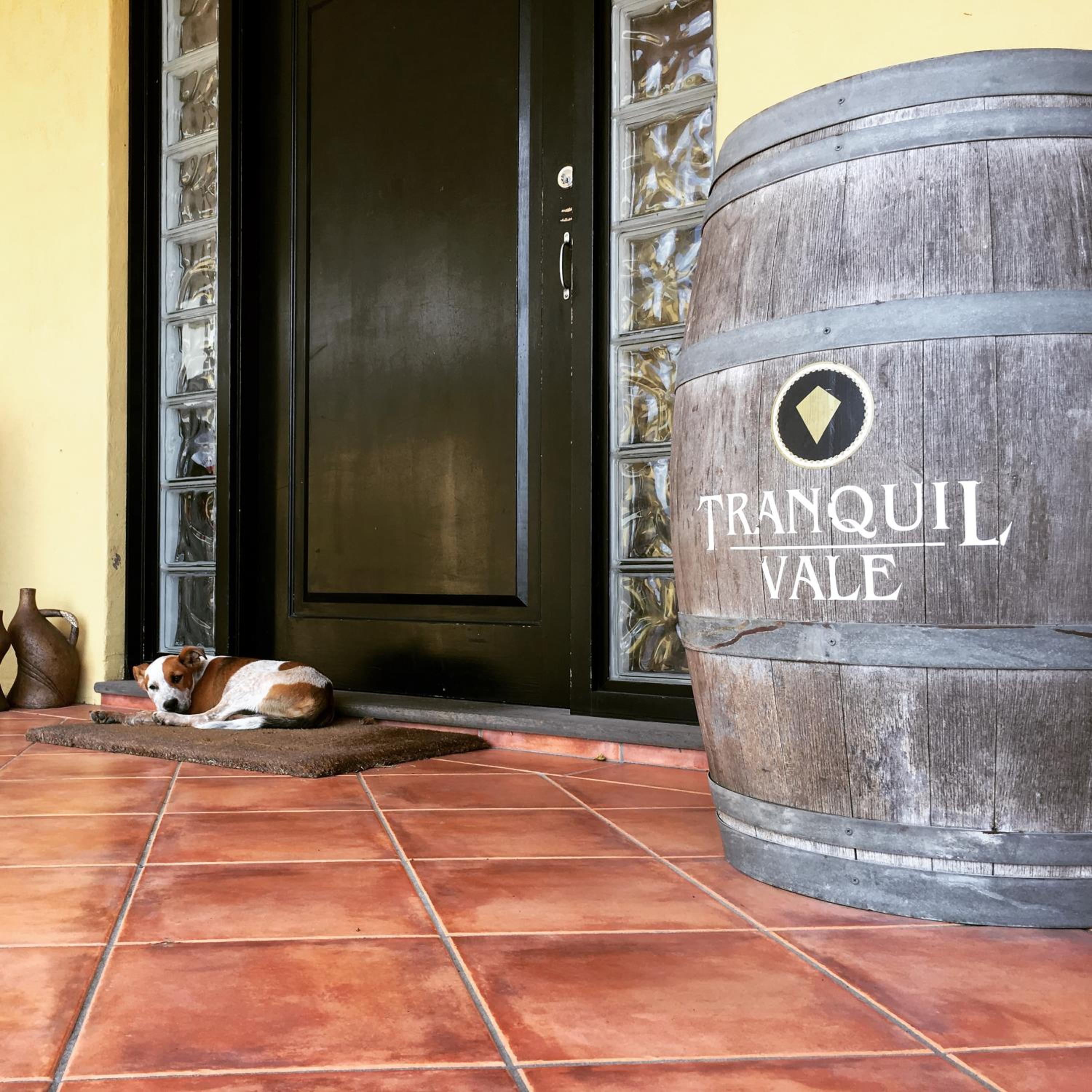 Tranquil Vale Vineyard