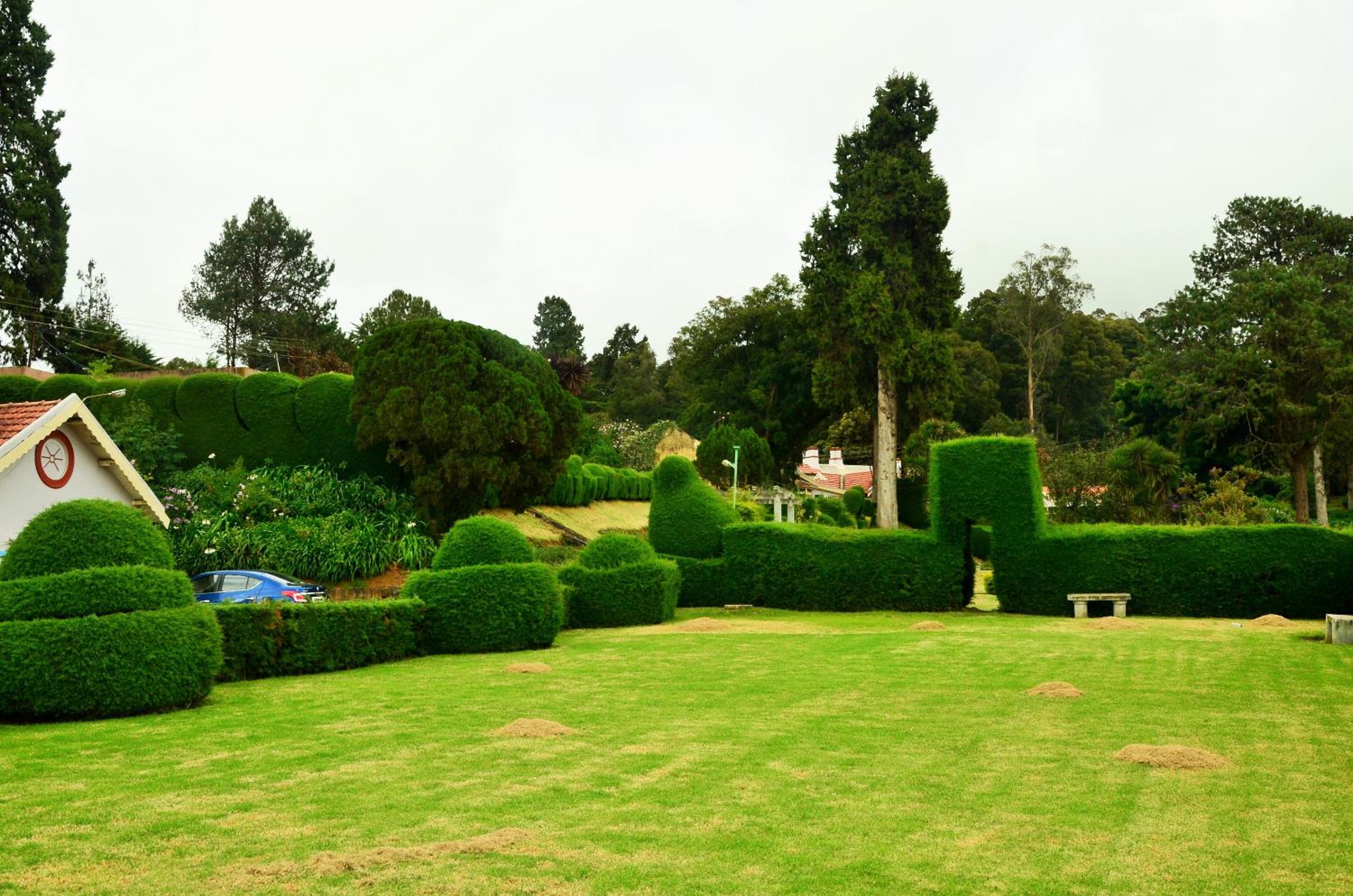 Photo 23